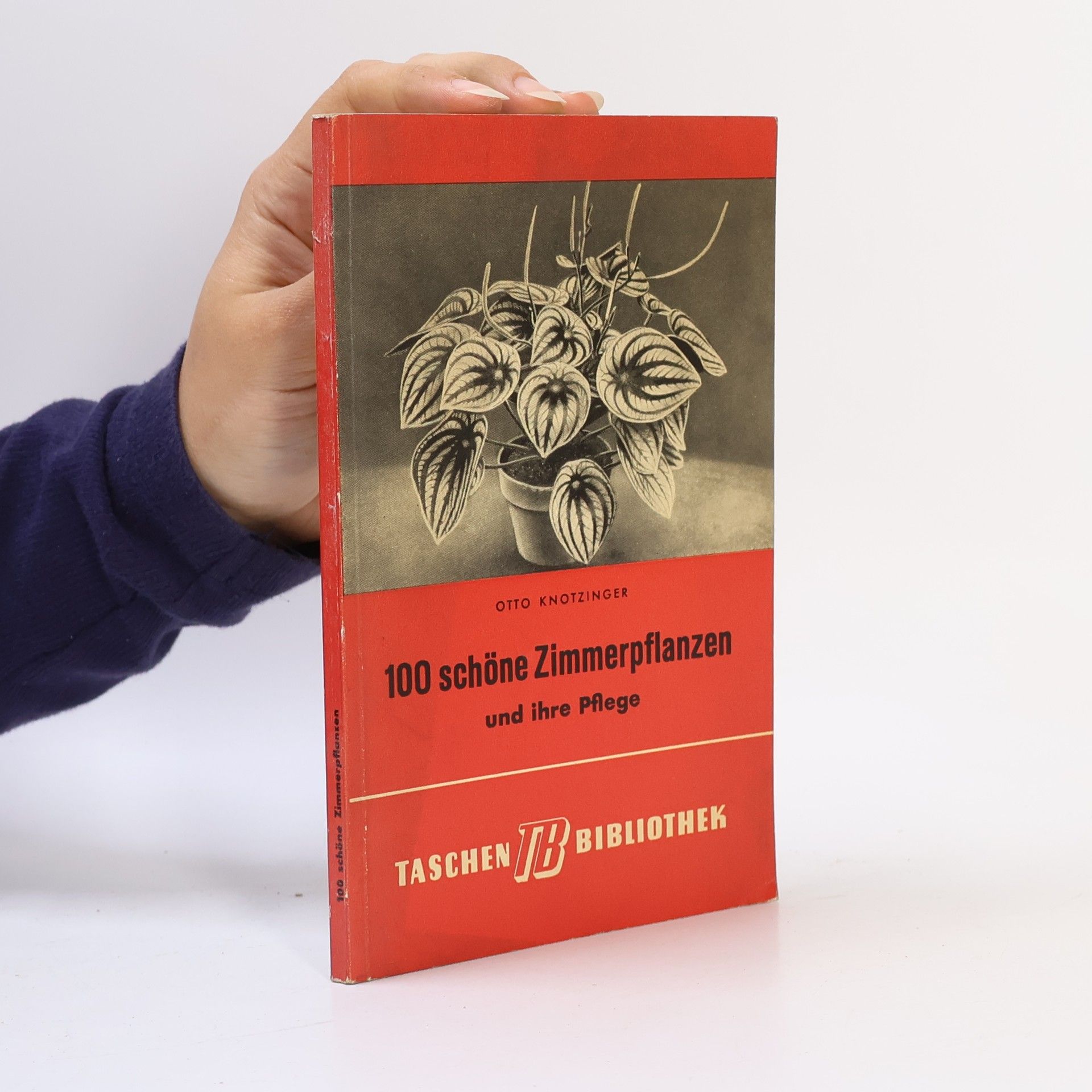 Otto Knotzinger 100 schöne Zimmerpflanzen und ihre Pflege