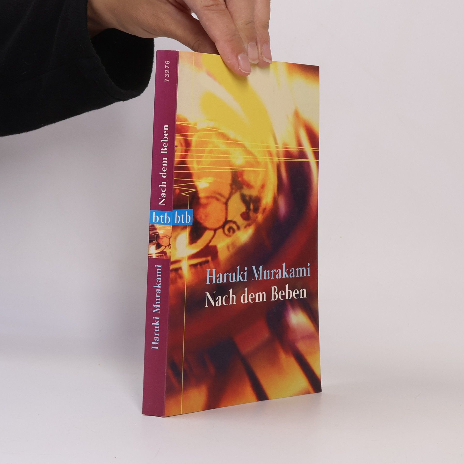Haruki Murakami Nach dem Beben