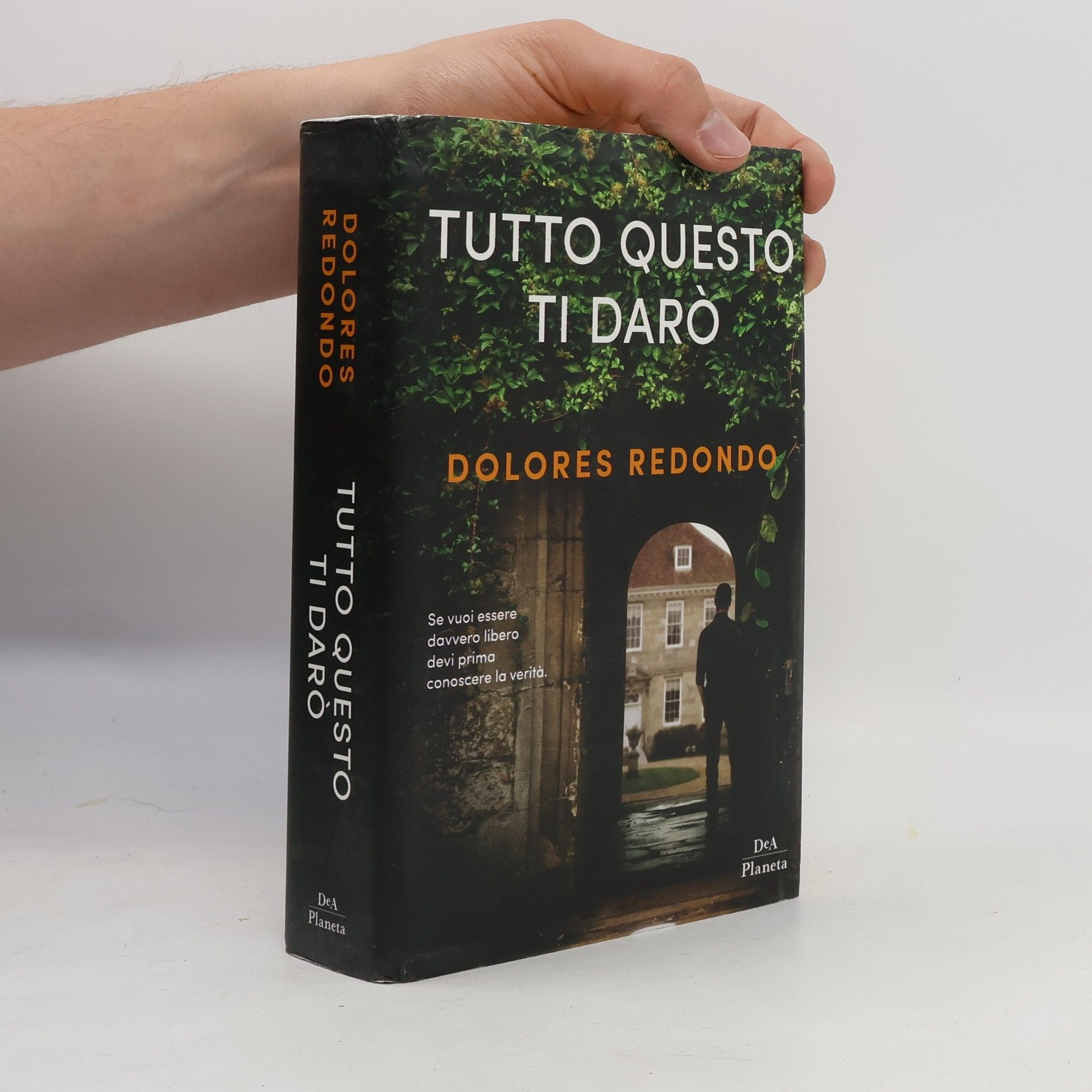 Dolores Redondo Tutto questo ti darò