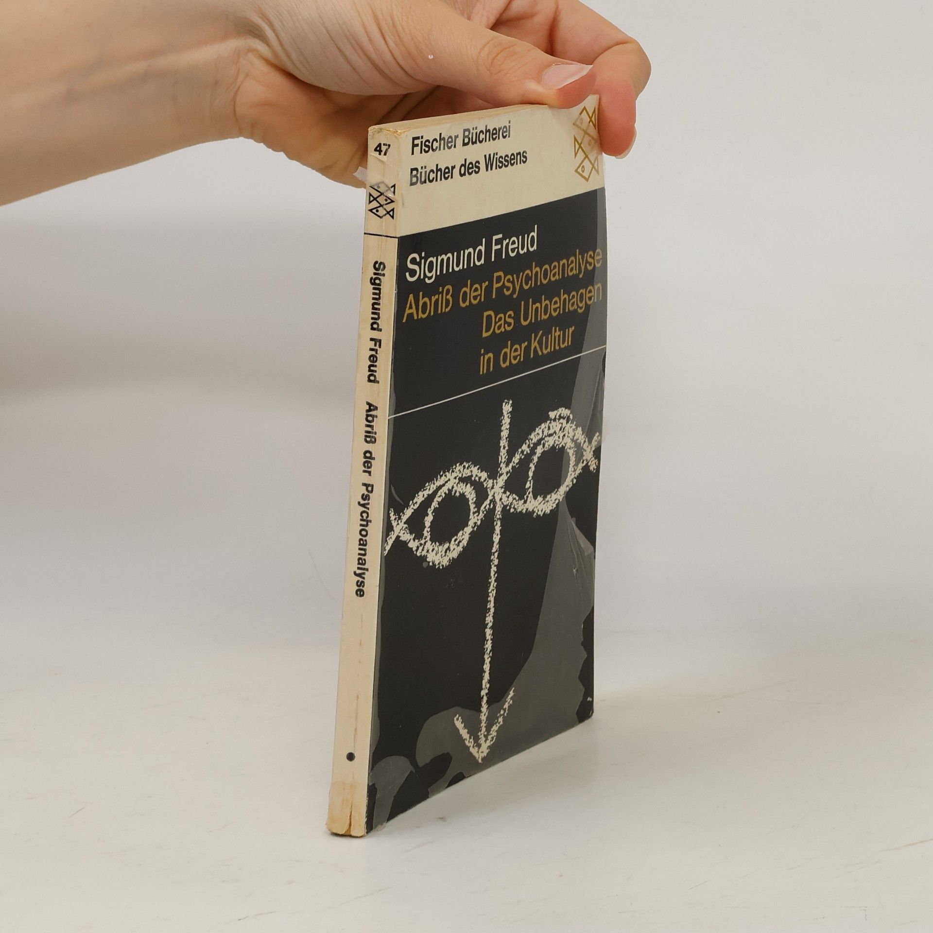 Sigmund Freud Abriß der Psychoanalyse. Das Unbehagen in der Kultur