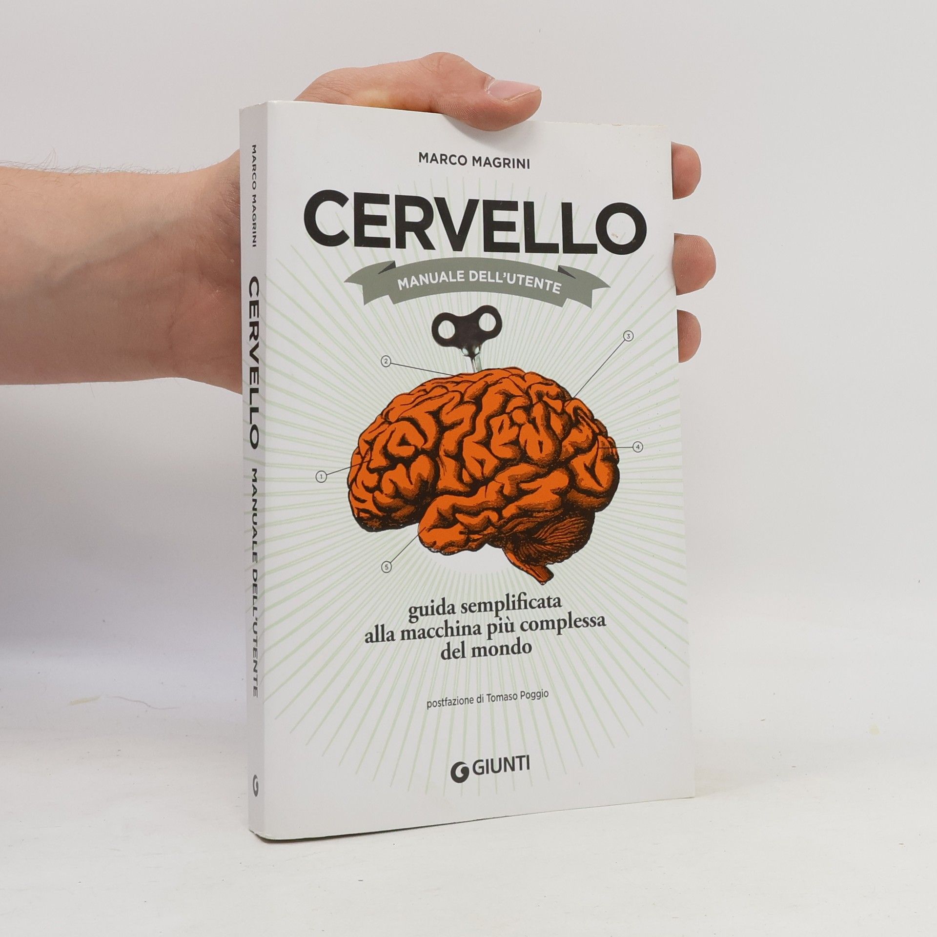 Cervello. Manuale dell'utente. Guida semplificata alla macchina più complessa del mondo