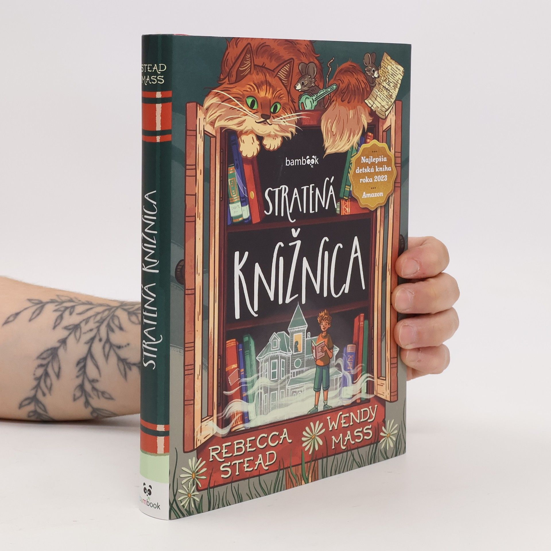 Rebecca Stead Stratená knižnica