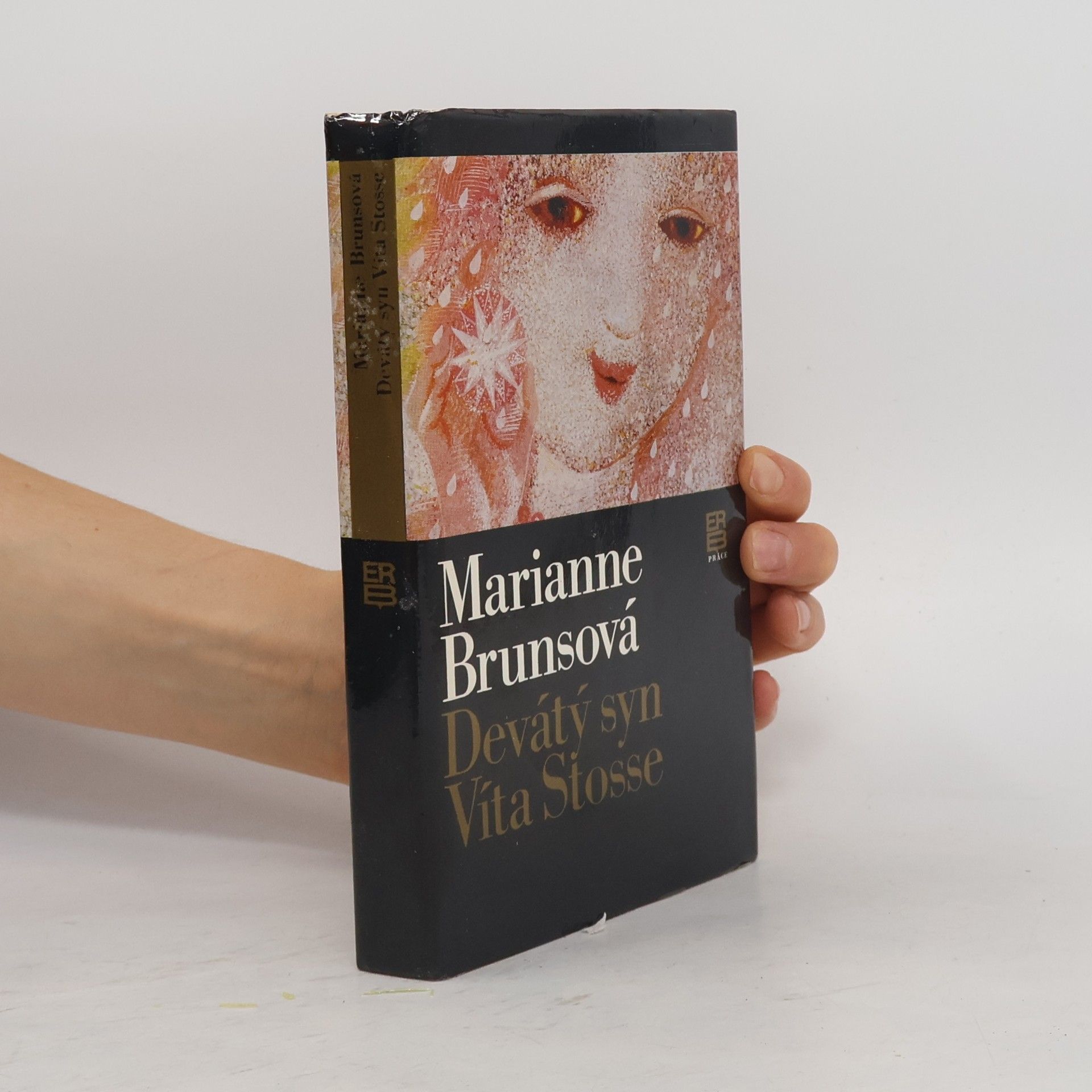 Marianne Bruns Devátý syn Víta Stosse