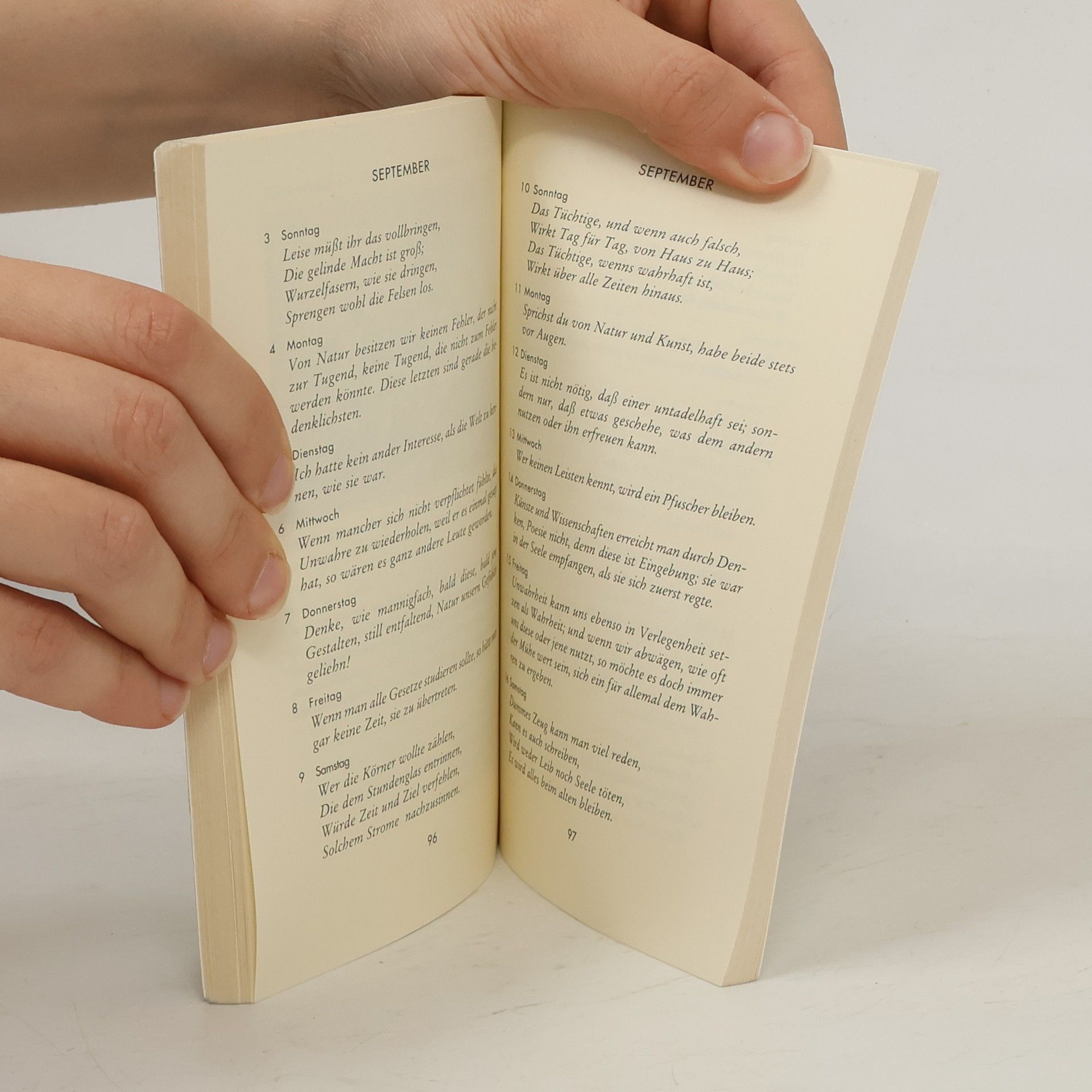 Autorenkollektiv Mit Goethe durch das Jahr 1995