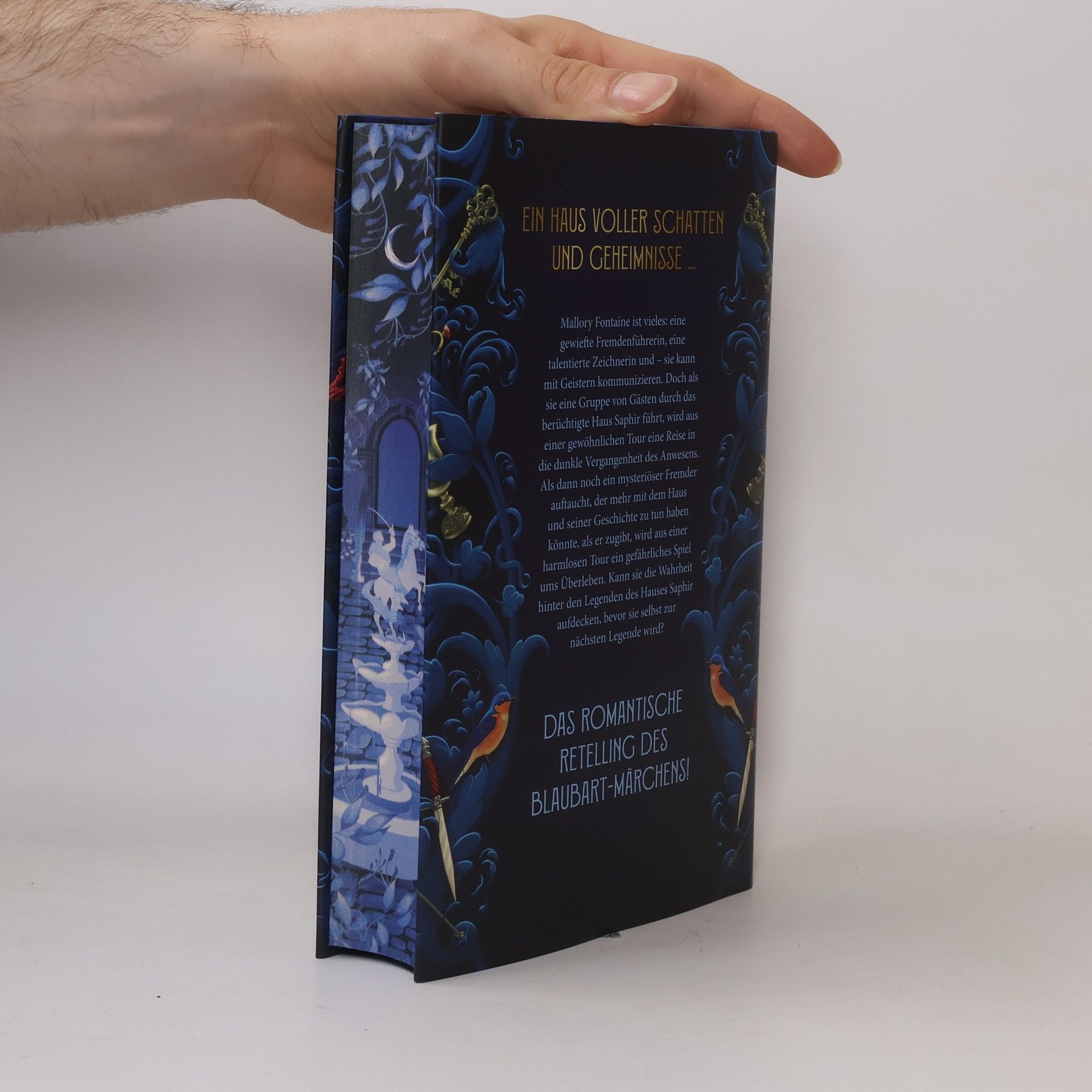 Marissa Meyer The House Saphir