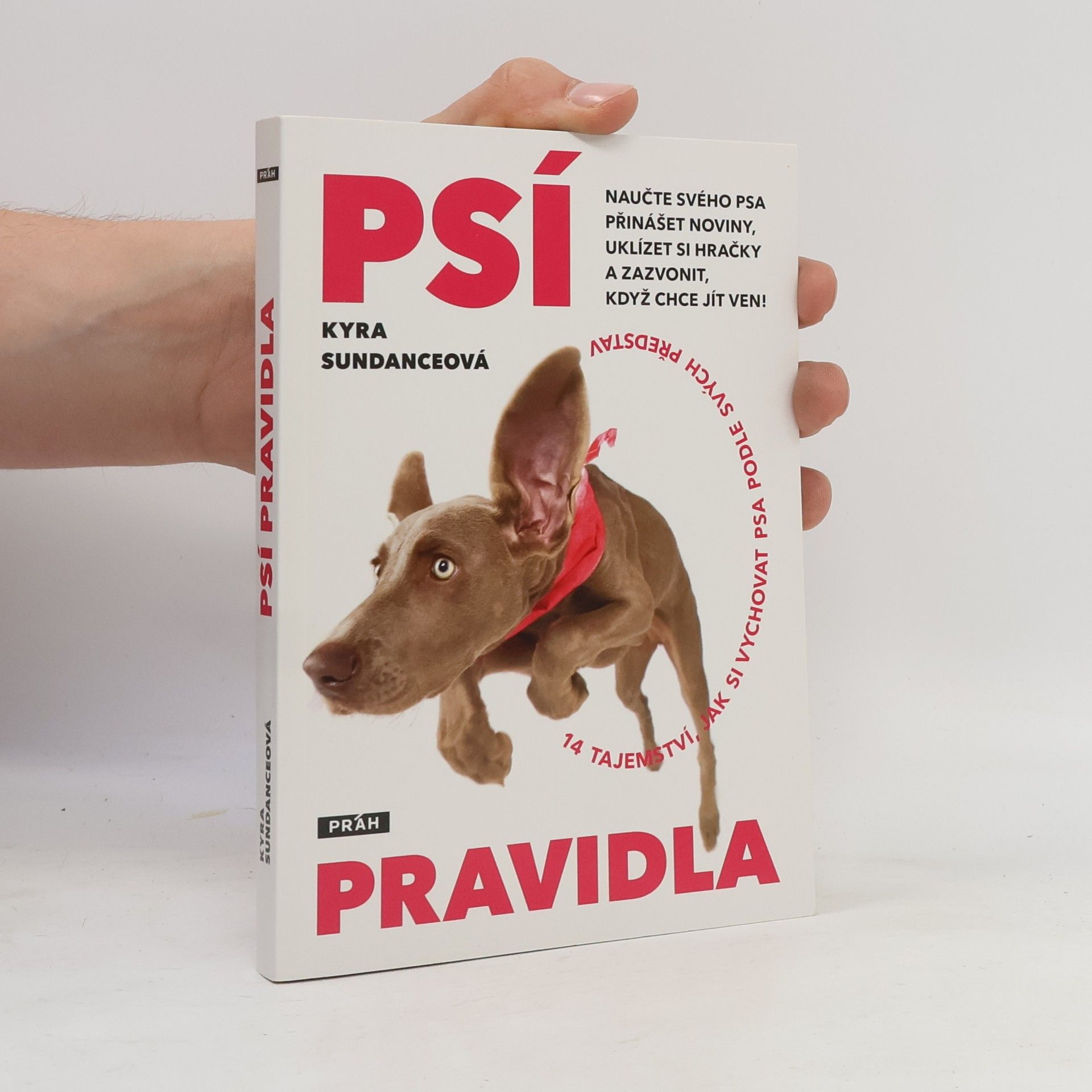 Kyra Sundance Psí pravidla