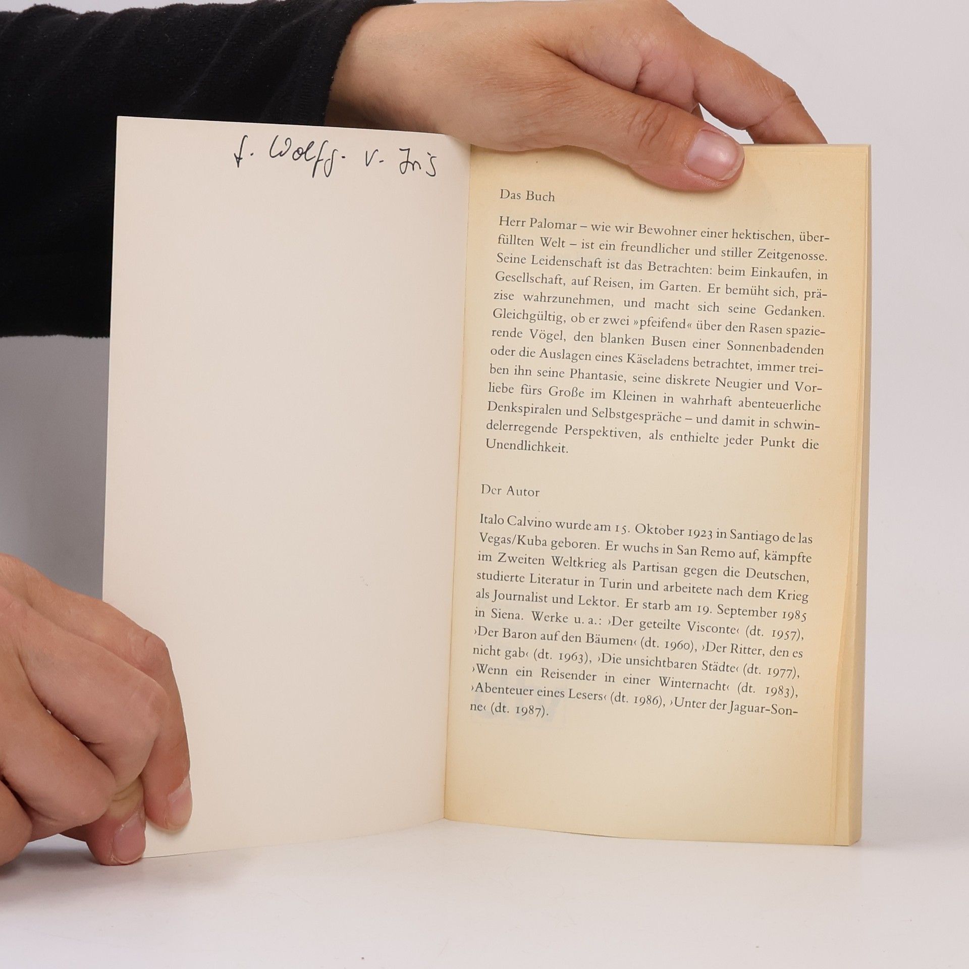 Italo Calvino Herr Palomar