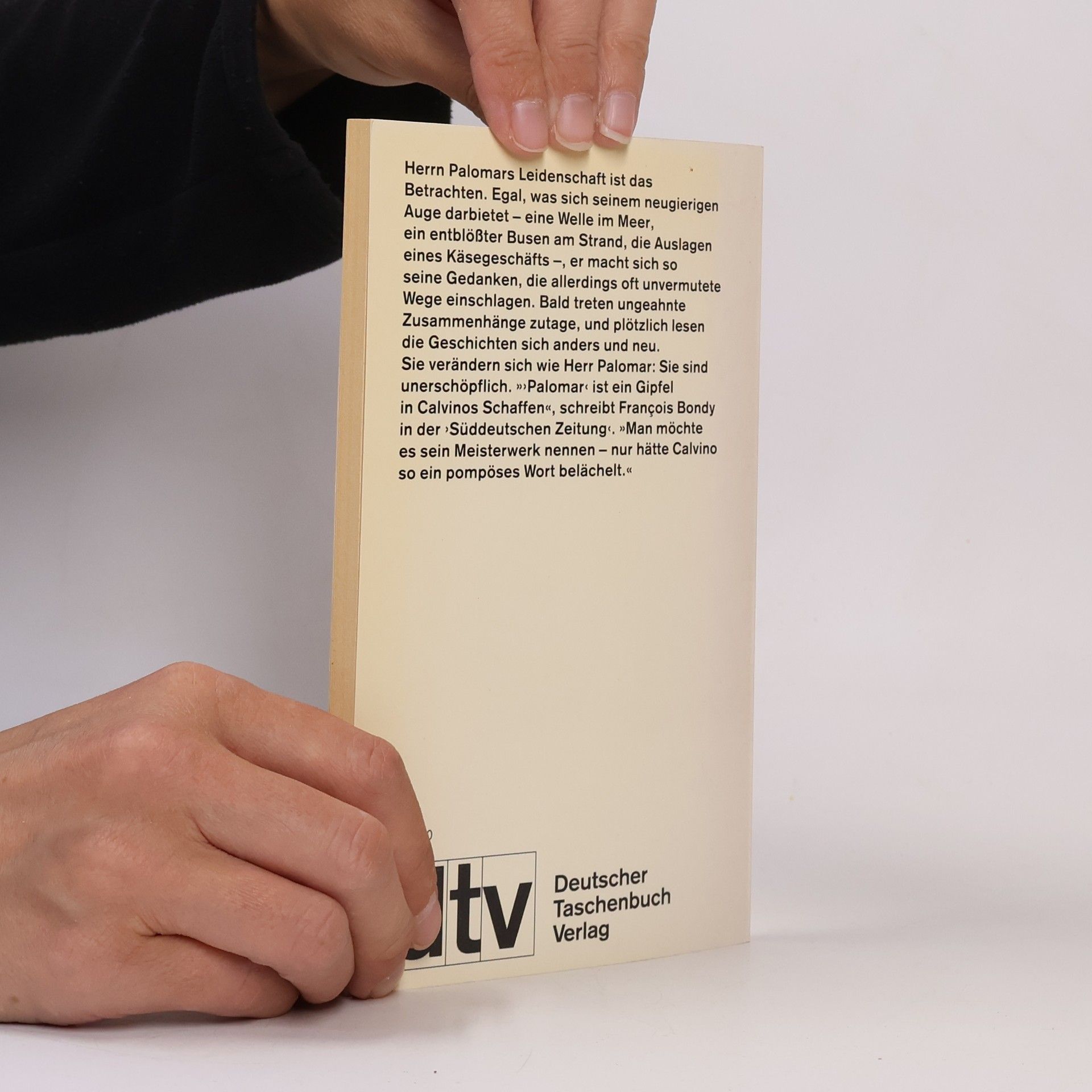 Italo Calvino Herr Palomar