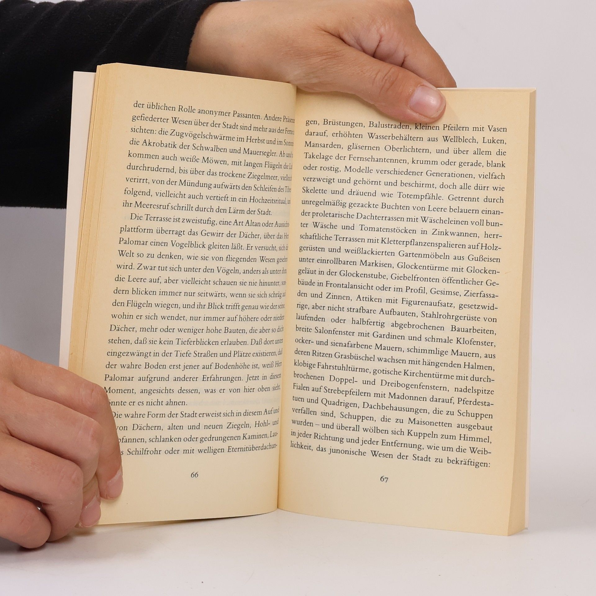 Italo Calvino Herr Palomar