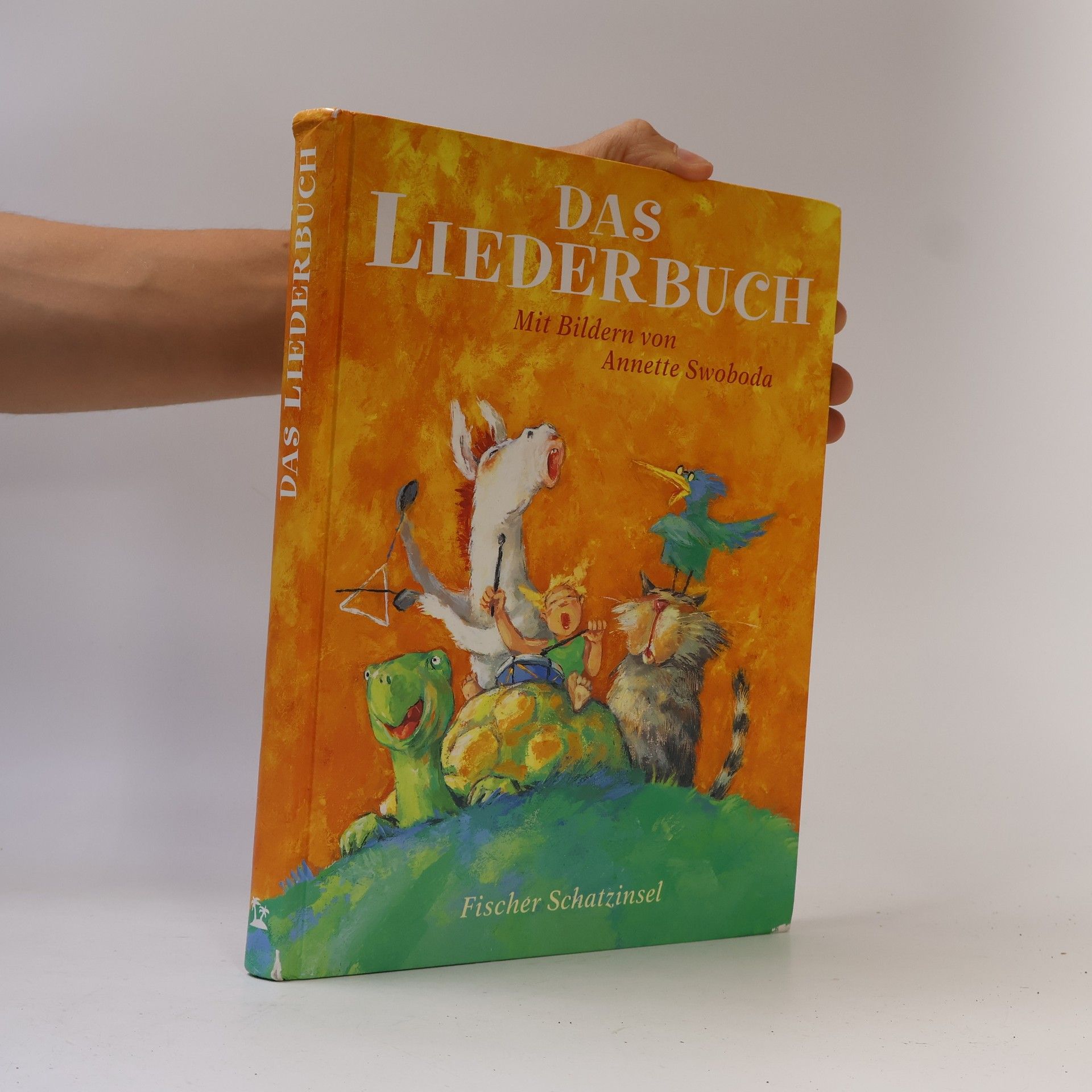 Catrin Frischer Das Liederbuch