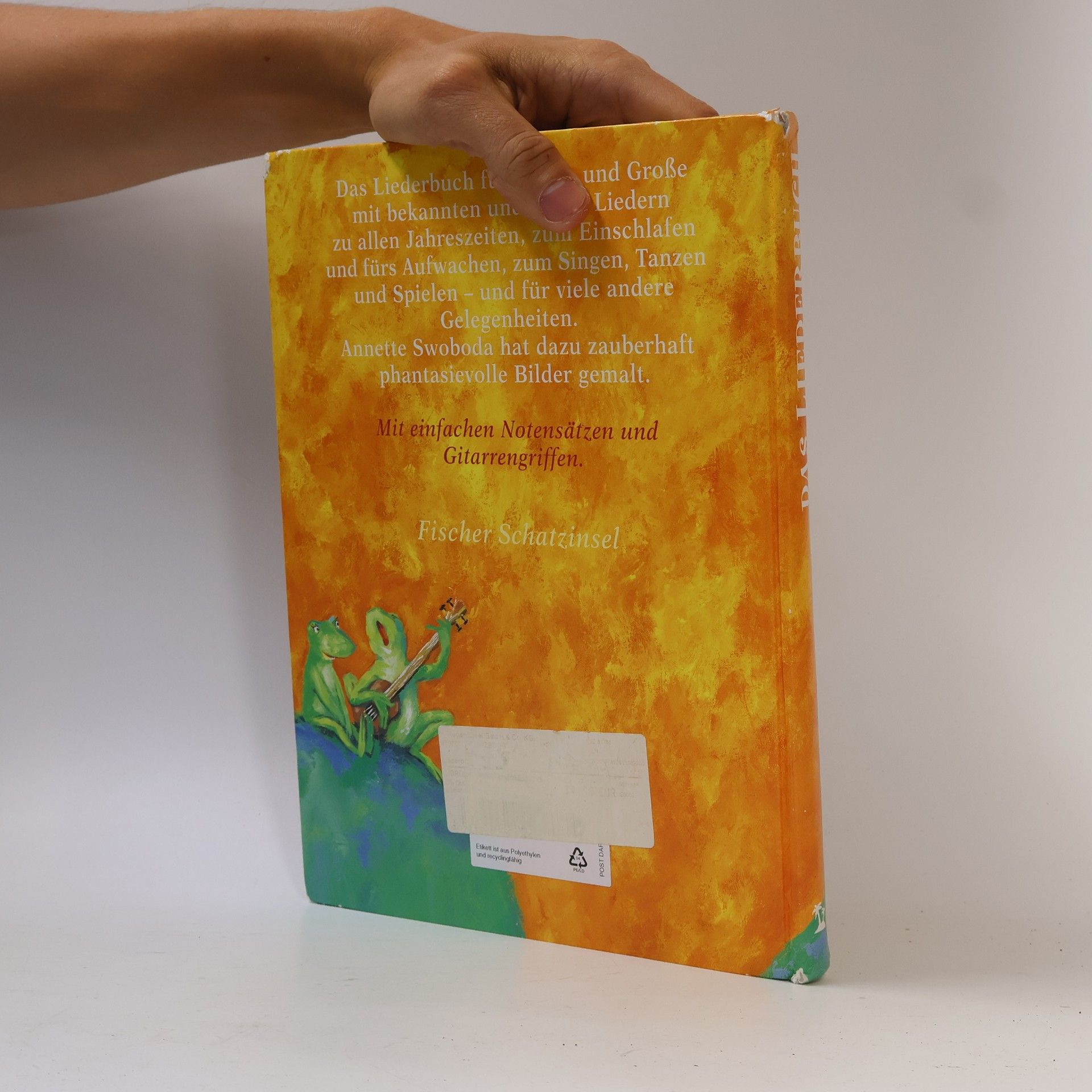 Catrin Frischer Das Liederbuch