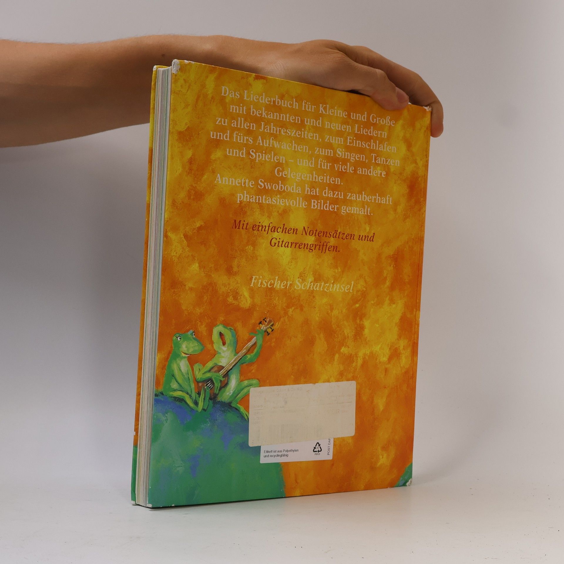 Catrin Frischer Das Liederbuch