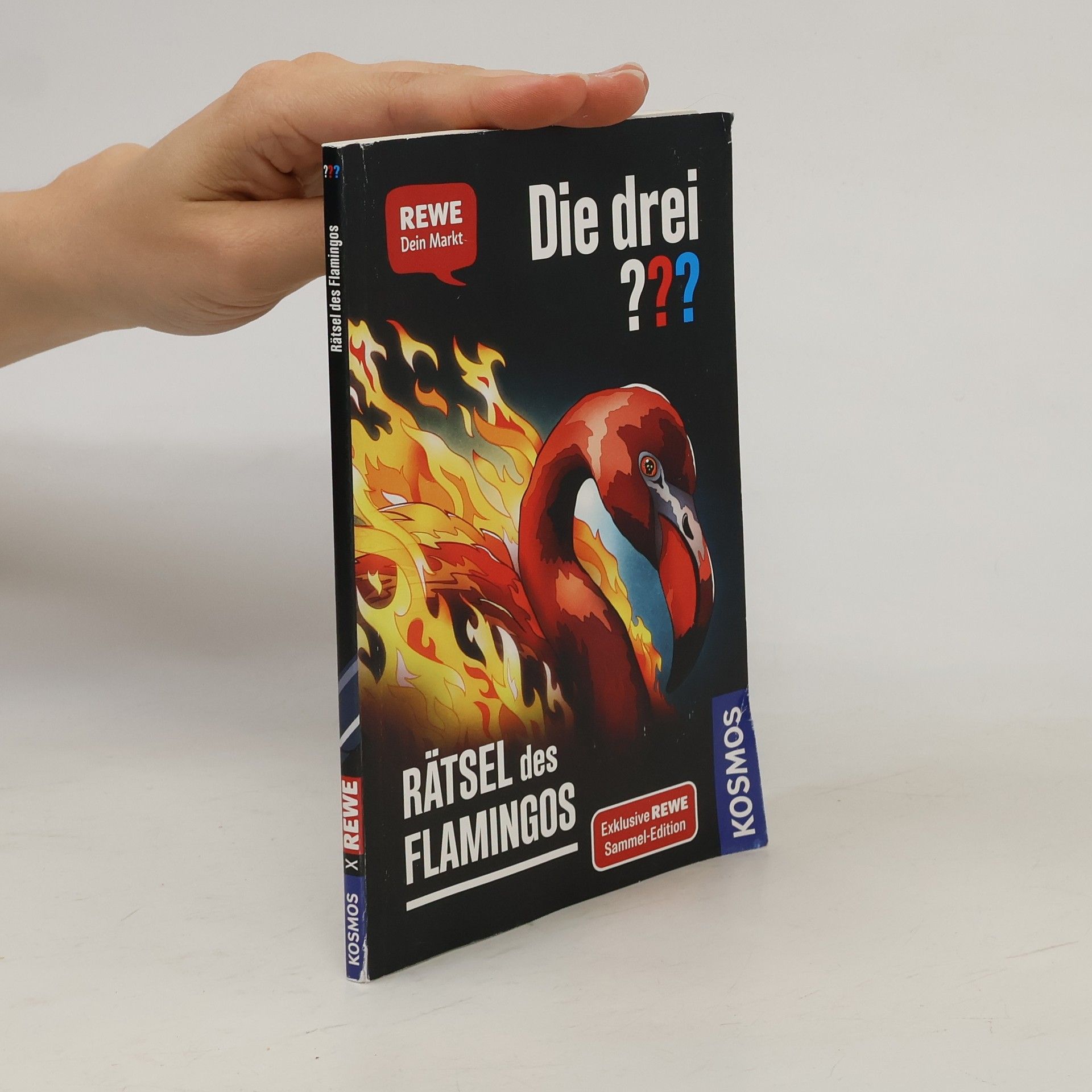 Andreas Ruch Die drei??? Rätsel des Flamingos