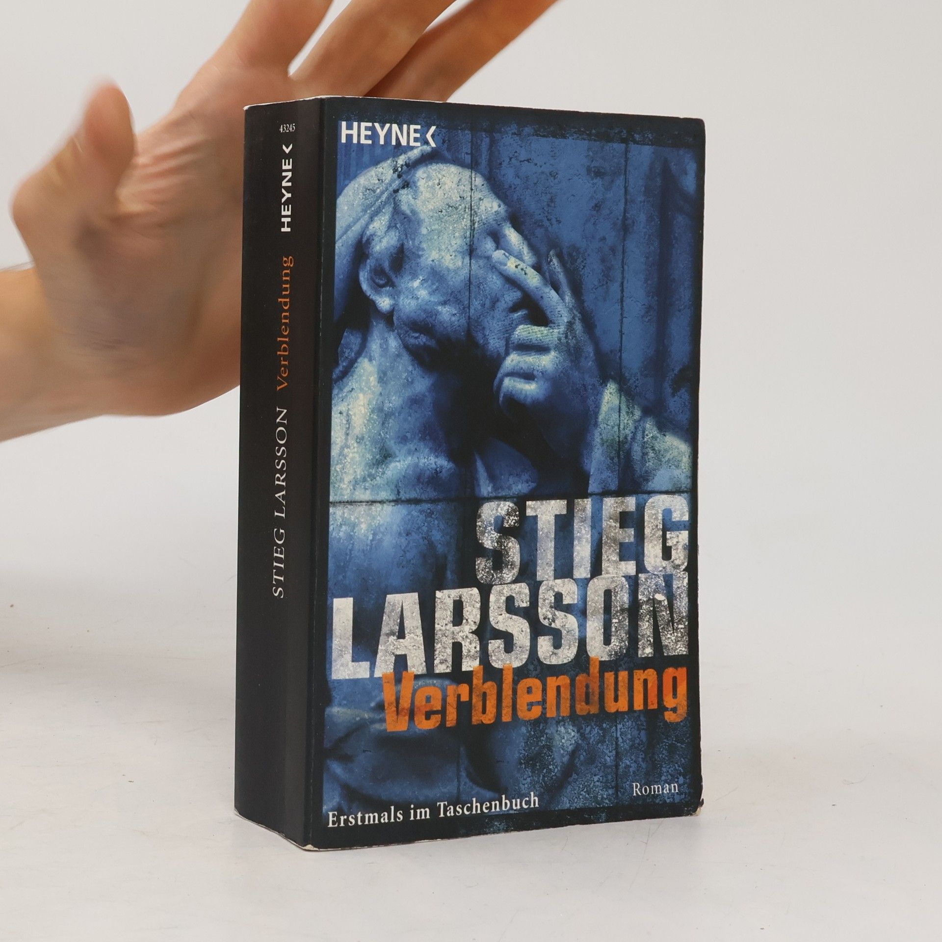 Stieg Larsson Verblendung