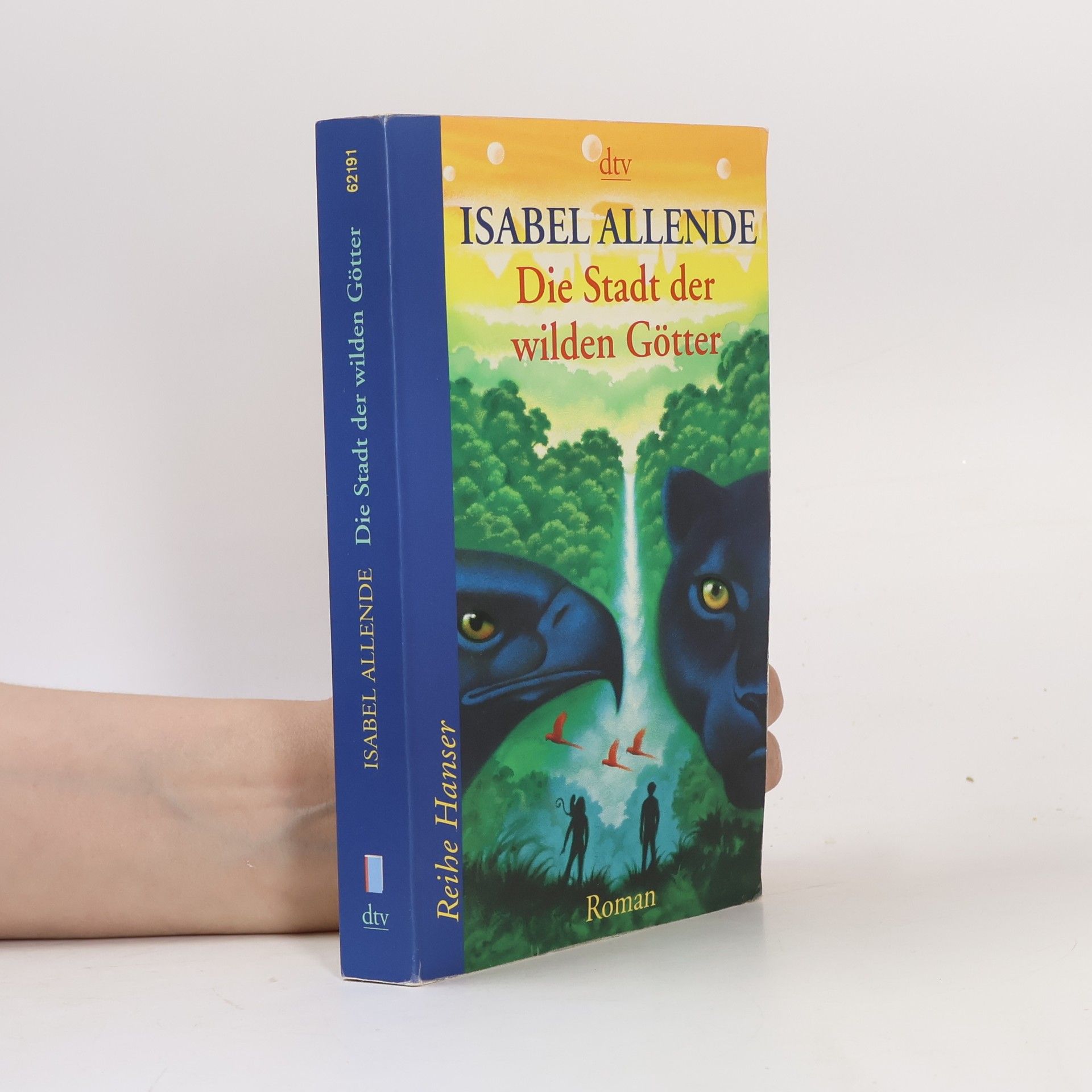 Isabel Allende Die Stadt der wilden Götter