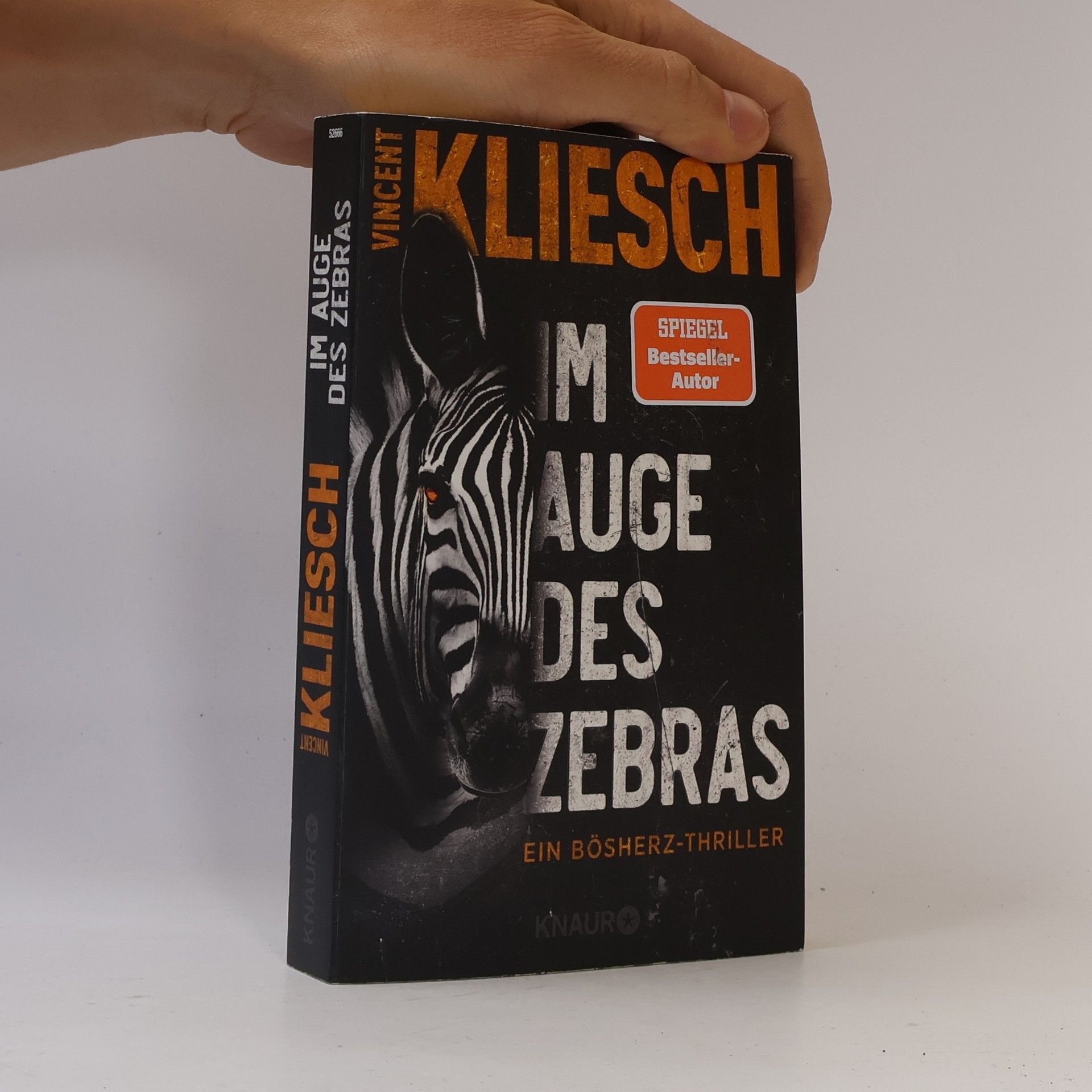 Im Auge des Zebras