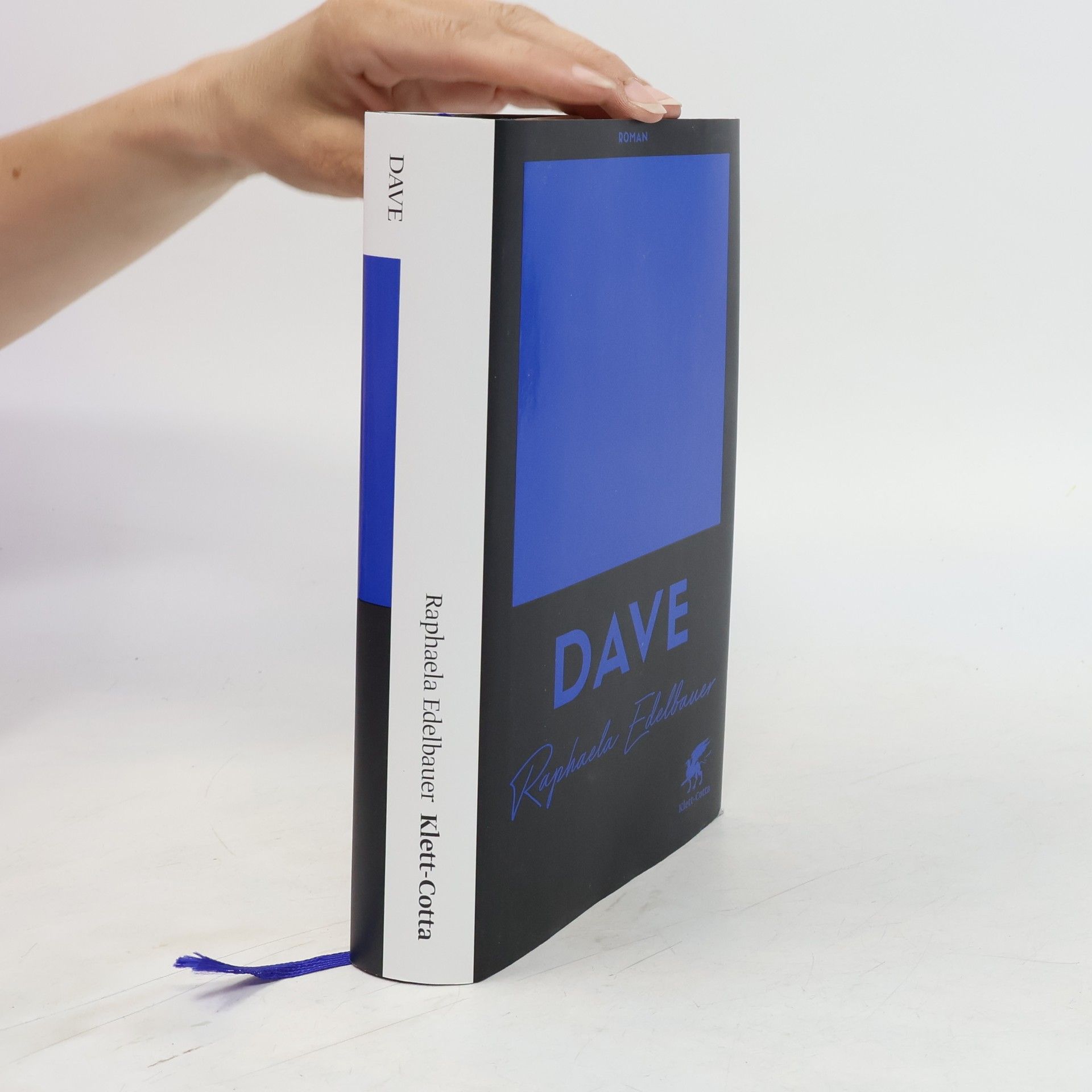 Raphaela Edelbauer Dave