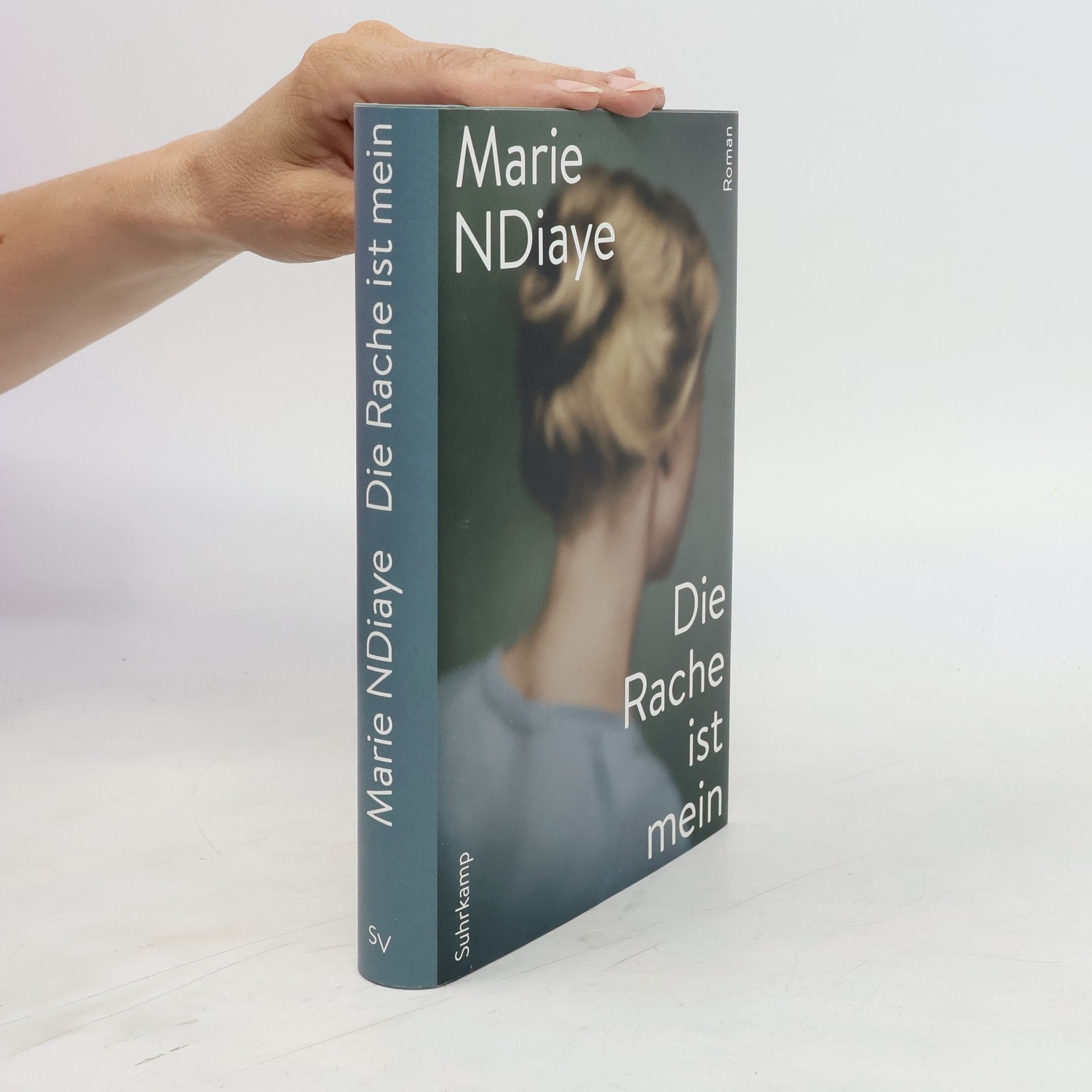 Marie NDiaye Die Rache ist mein
