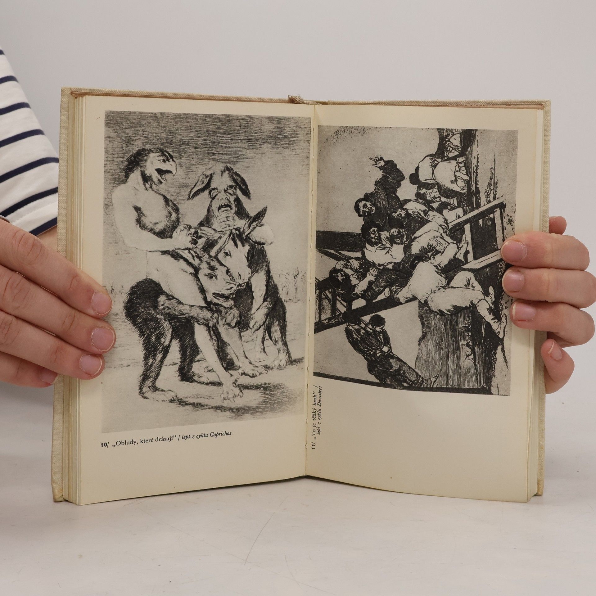 Lion Feuchtwanger Goya