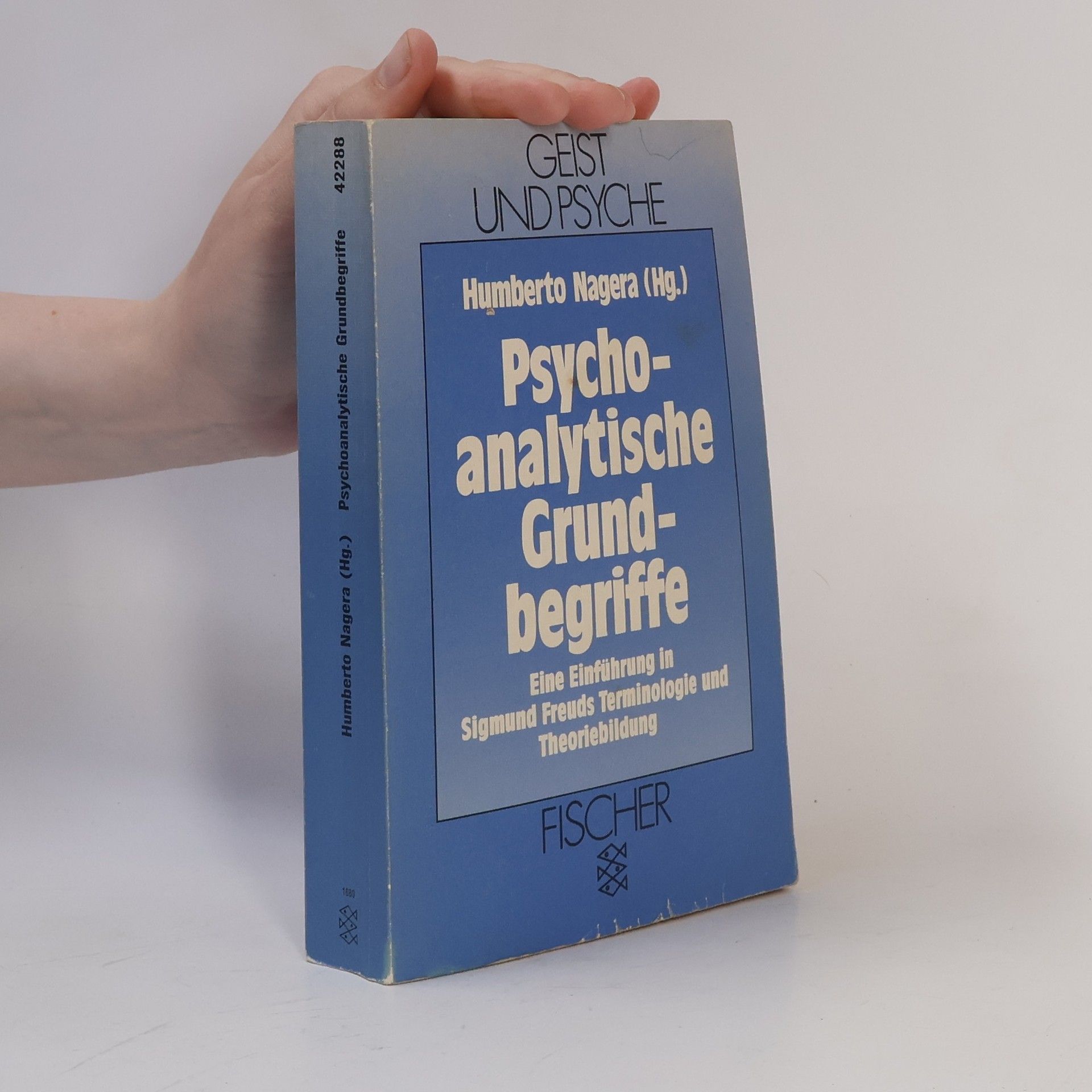 Humberto Nagera Psychoanalytische Grundbegriffe