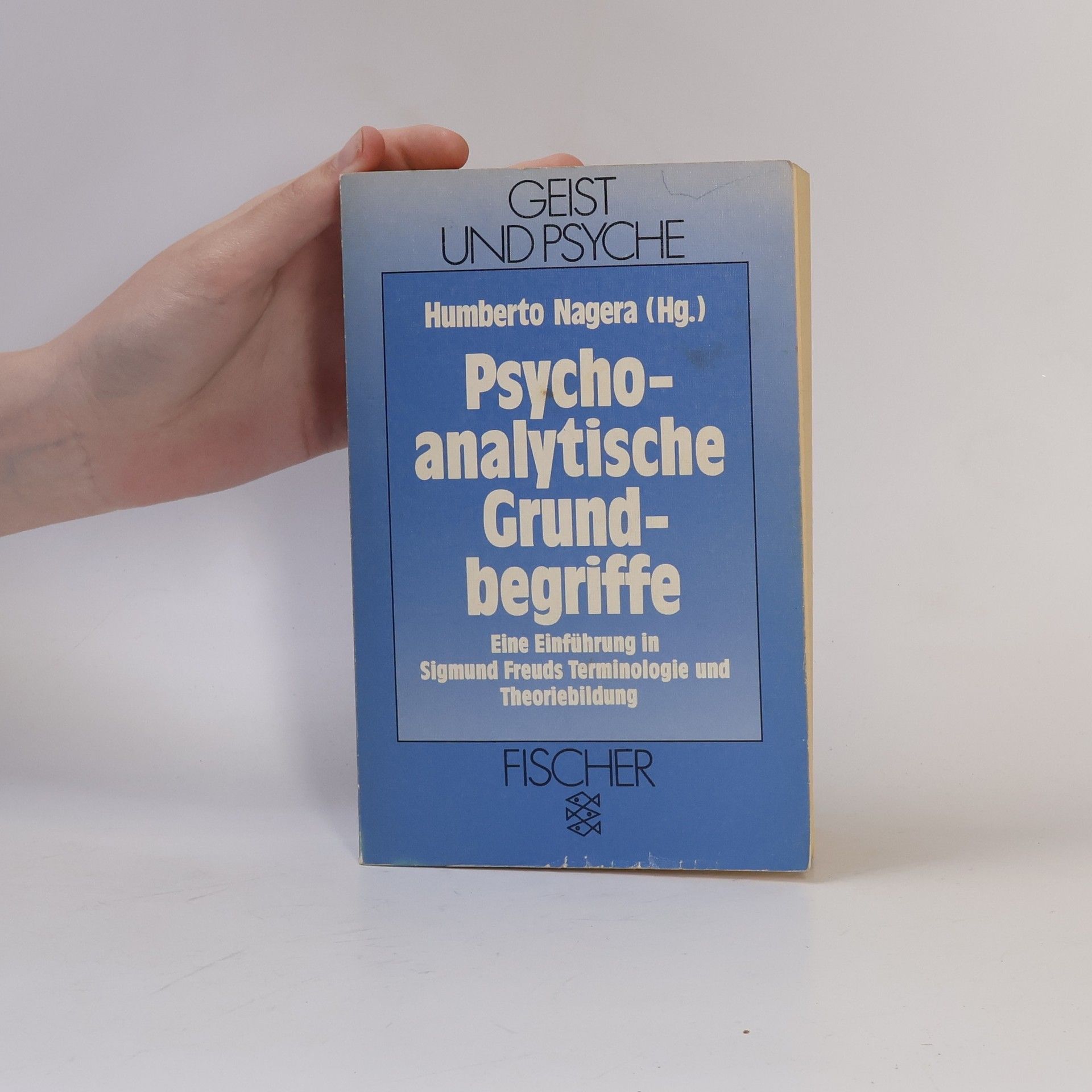 Humberto Nagera Psychoanalytische Grundbegriffe