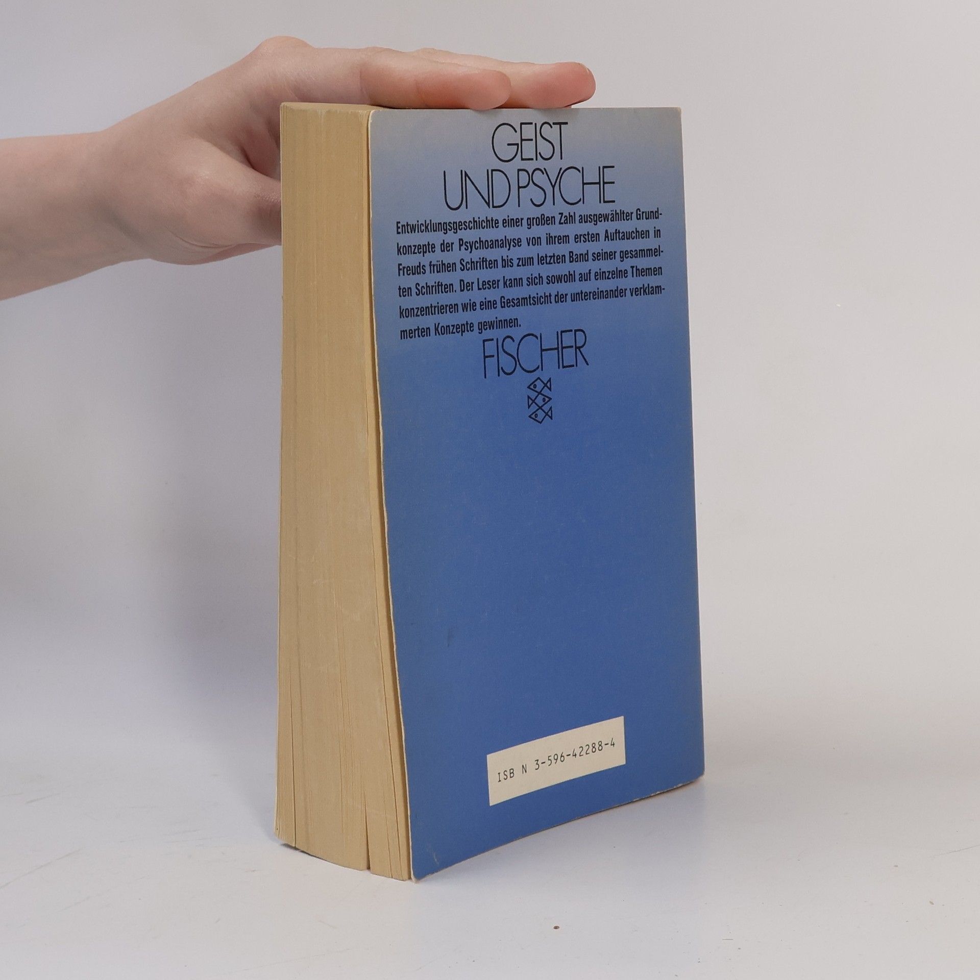 Humberto Nagera Psychoanalytische Grundbegriffe