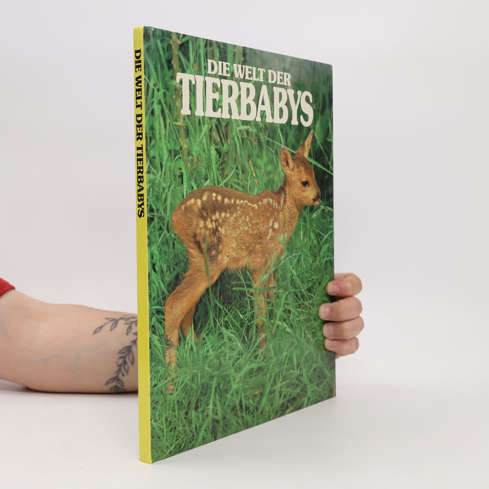 Collectif d'auteurs Die Welt der Tierbabys
