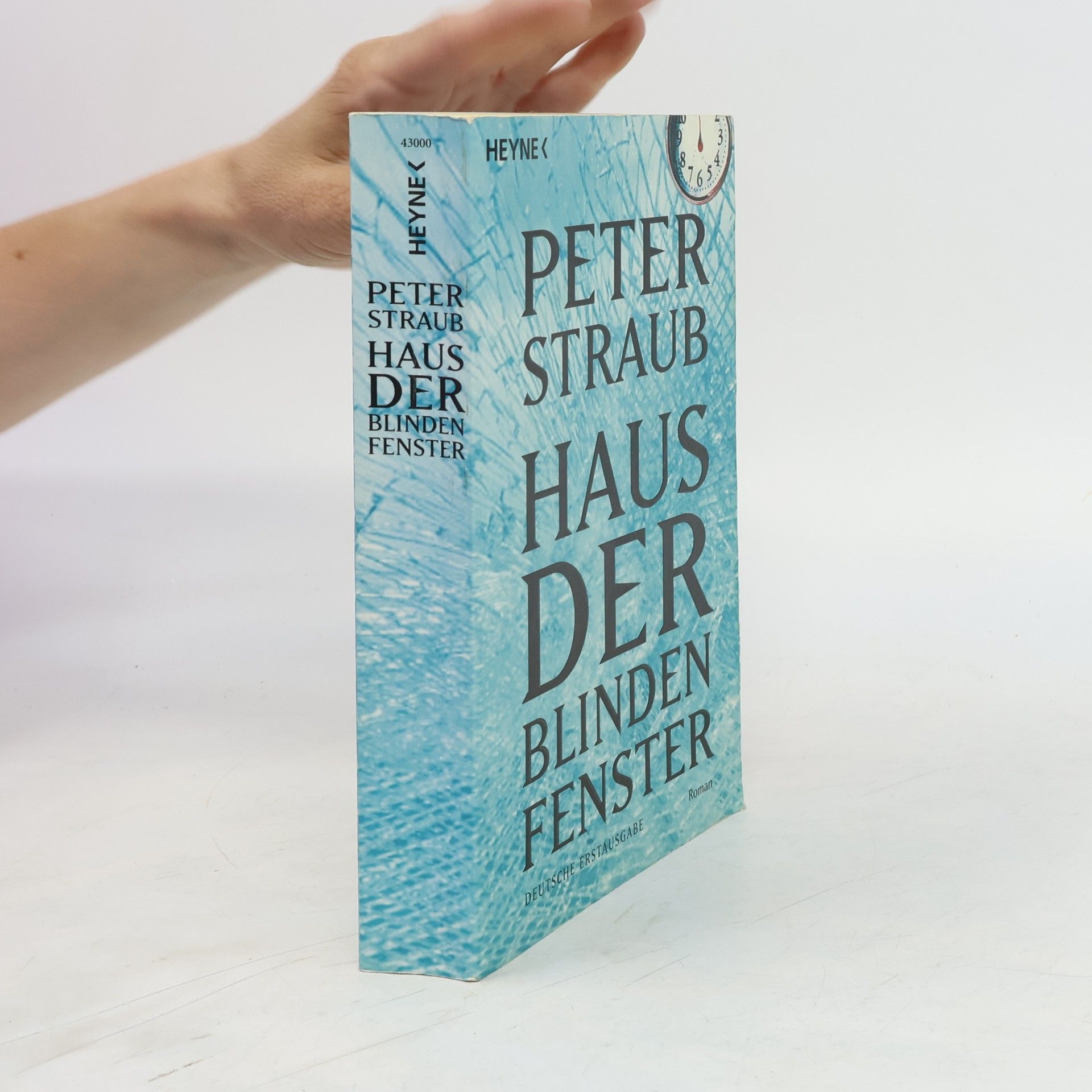 Peter Straub Haus der blinden Fenster