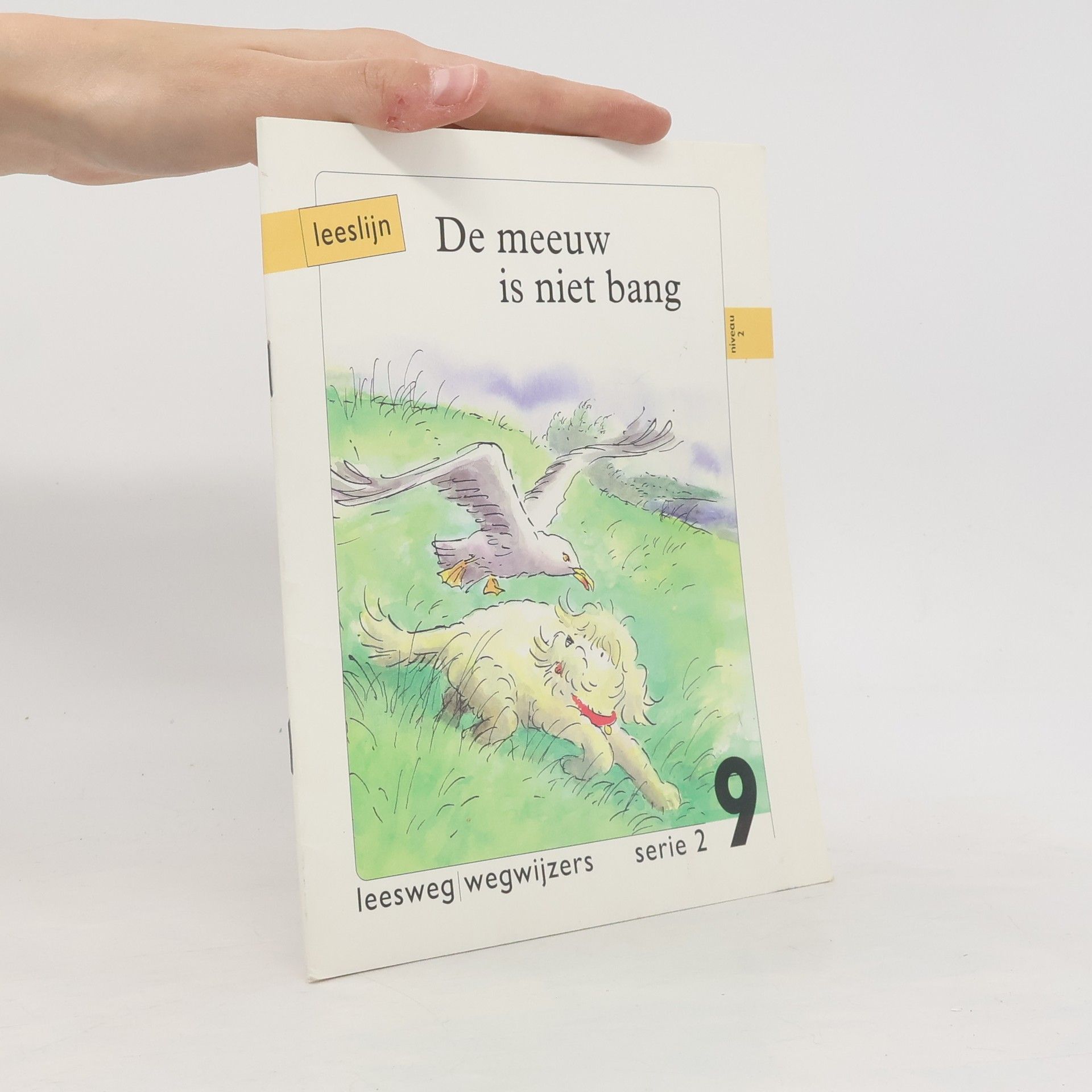 Kees de Baar De meeuw is niet bang