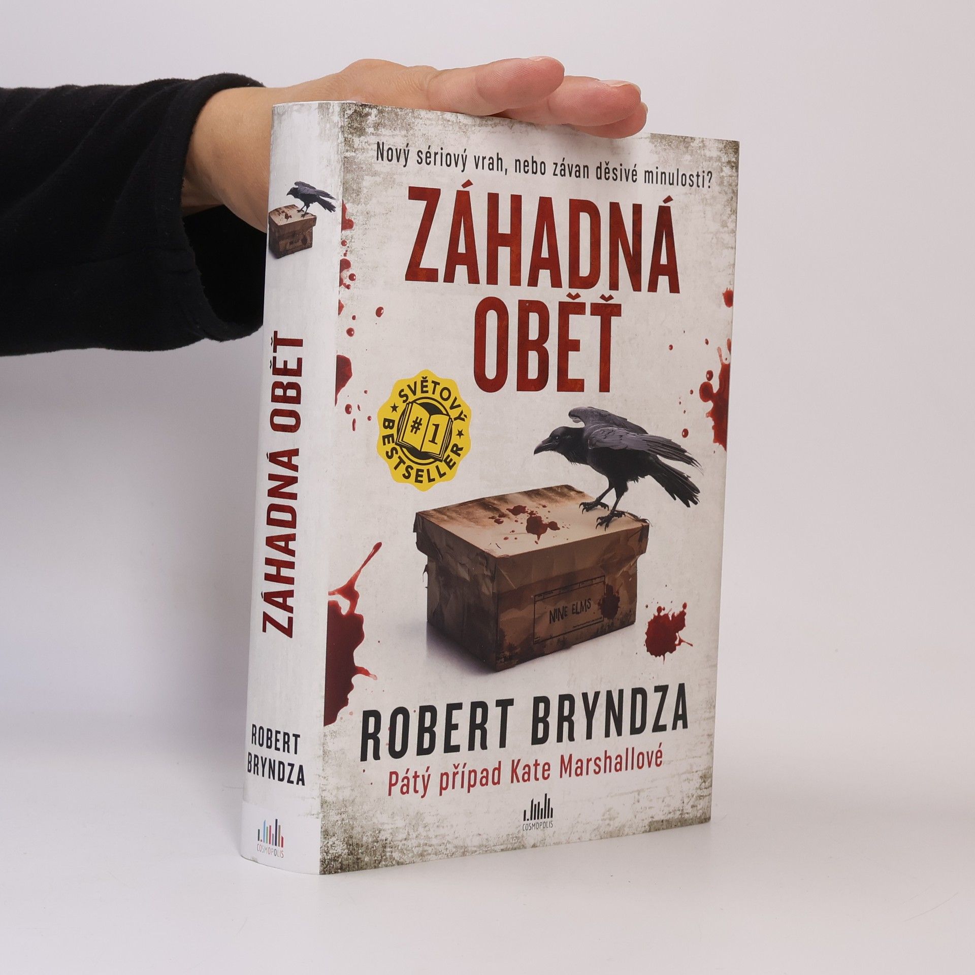 Robert Bryndza Záhadná oběť