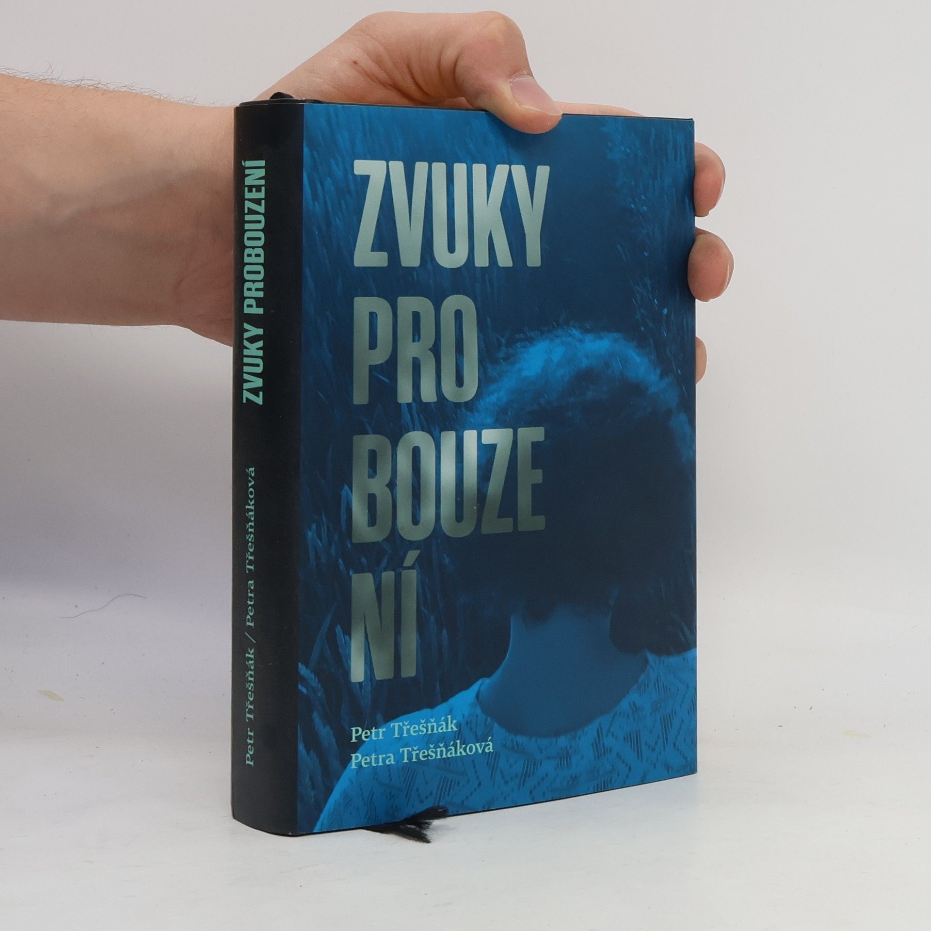 Petra Třešňáková Zvuky probouzení