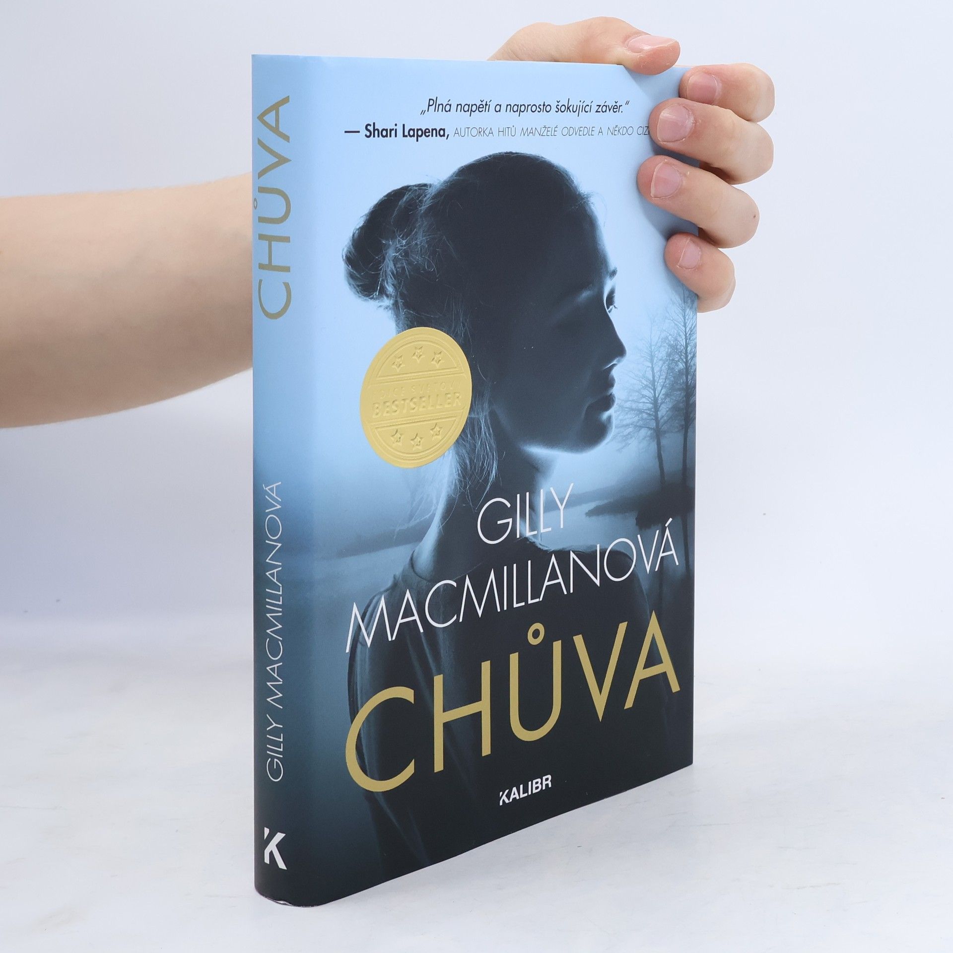 Gilly Macmillan Chůva