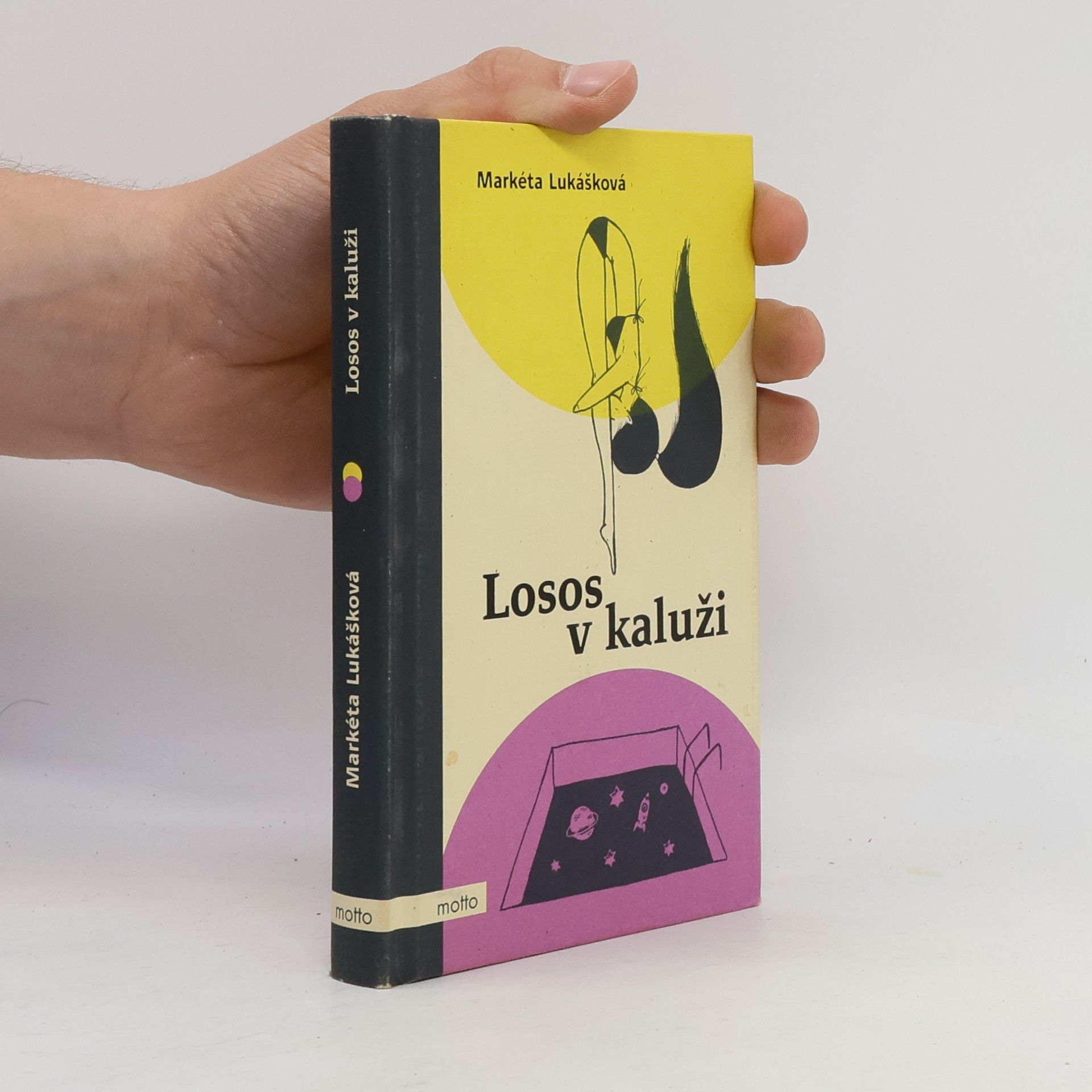 Markéta Lukášková Losos v kaluži