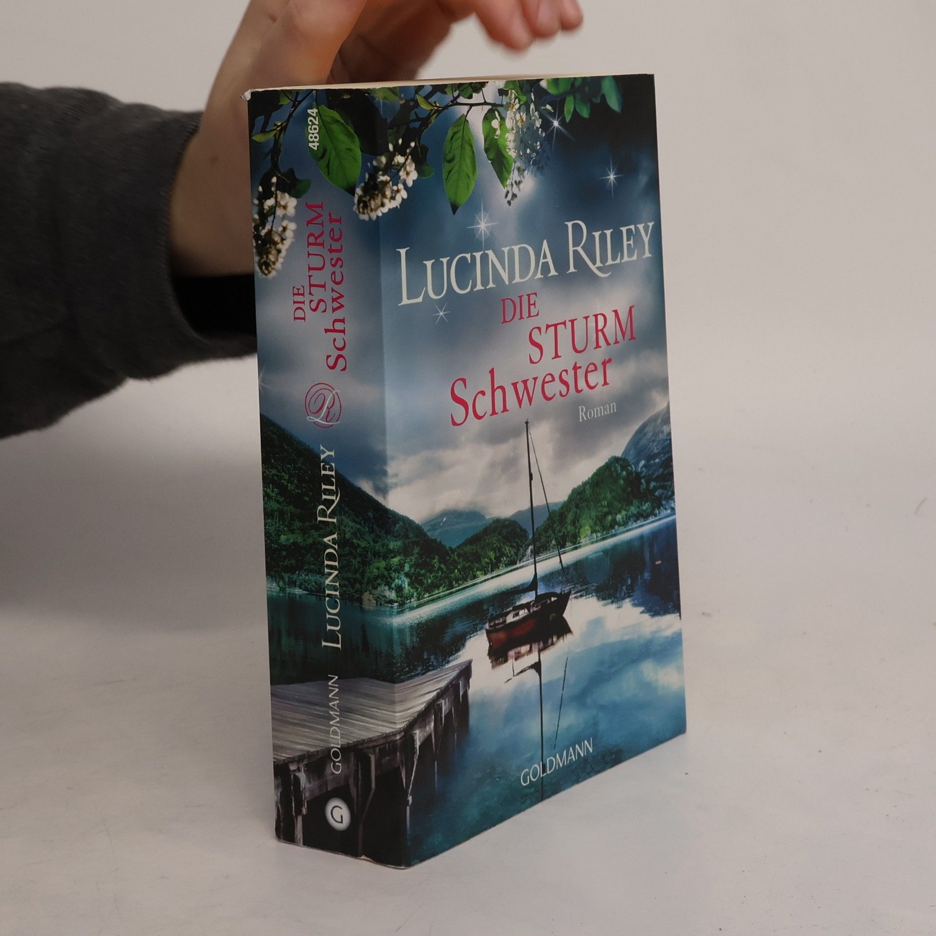 Lucinda Riley Die Sturmschwester