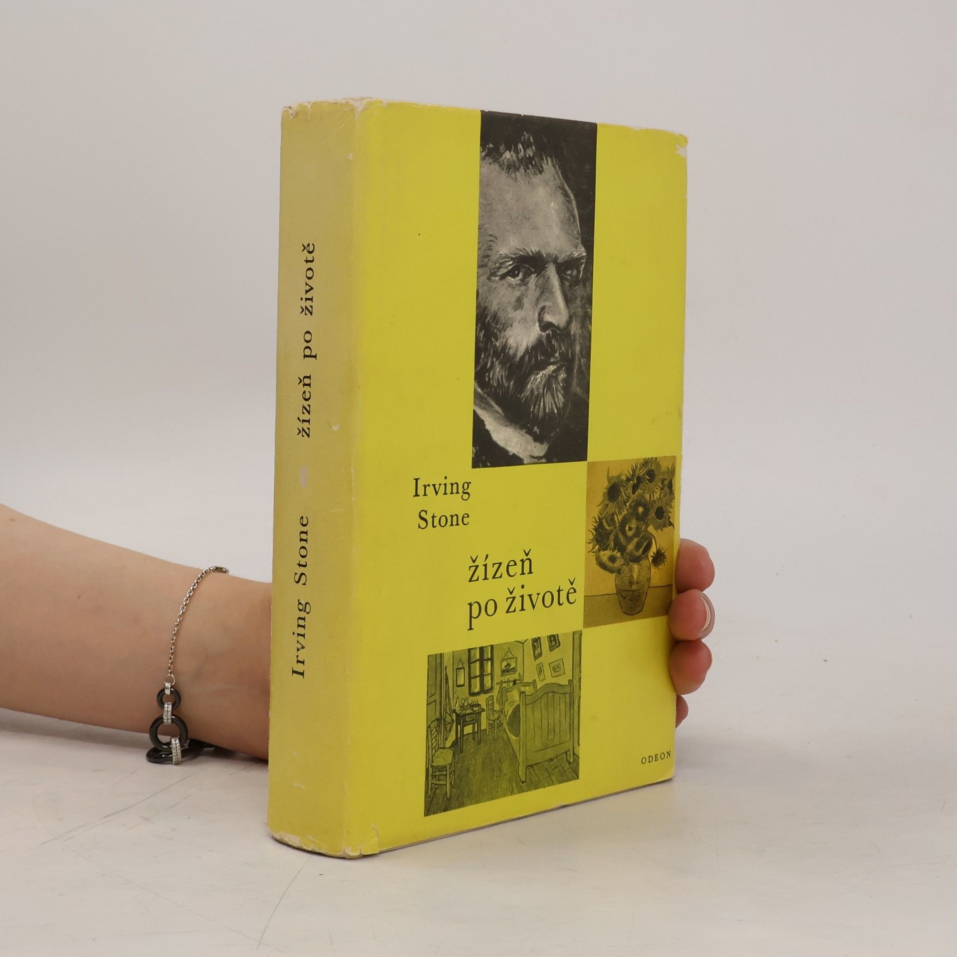 Irving Stone Žízeň po životě