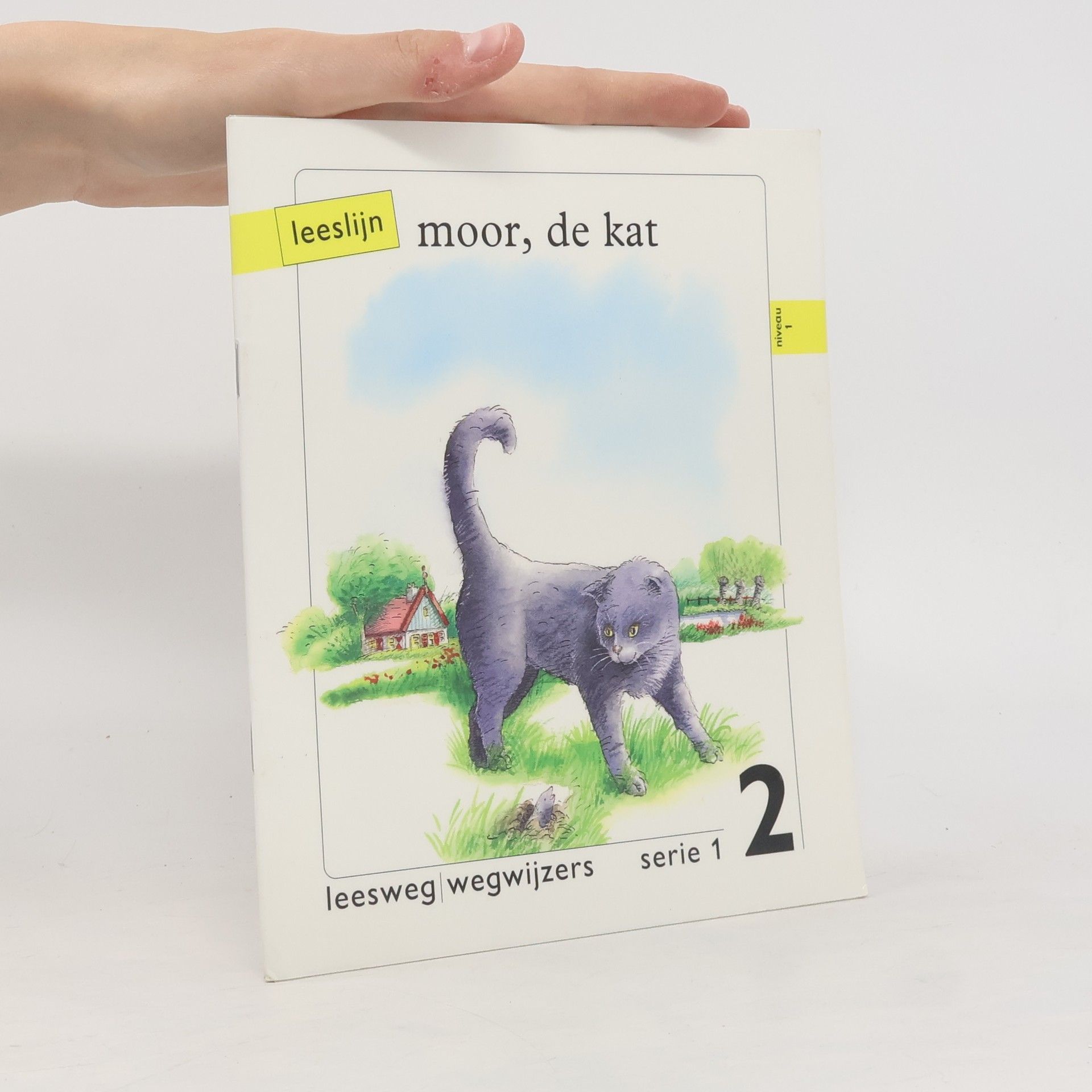 Autorenkollektiv Moor, de kat 2
