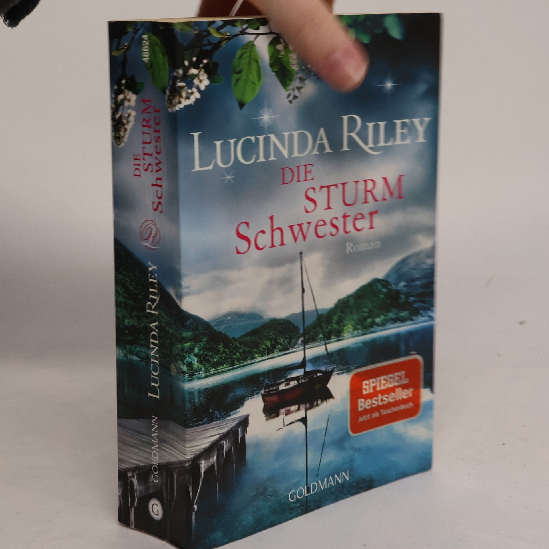 Lucinda Riley Die Sturmschwester