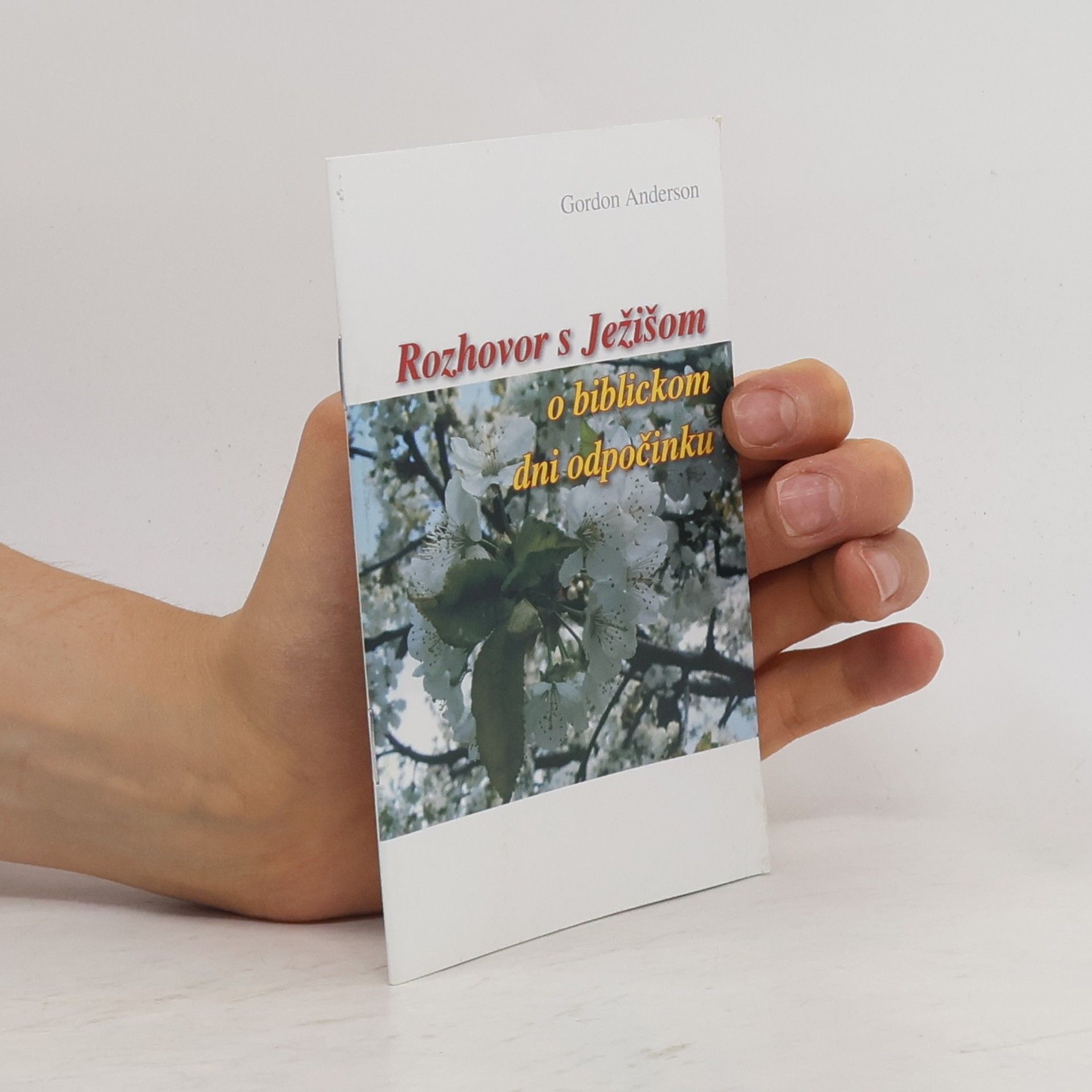Gordon Anderson Rozhovor s Ježišom o biblickom dni odpočinku