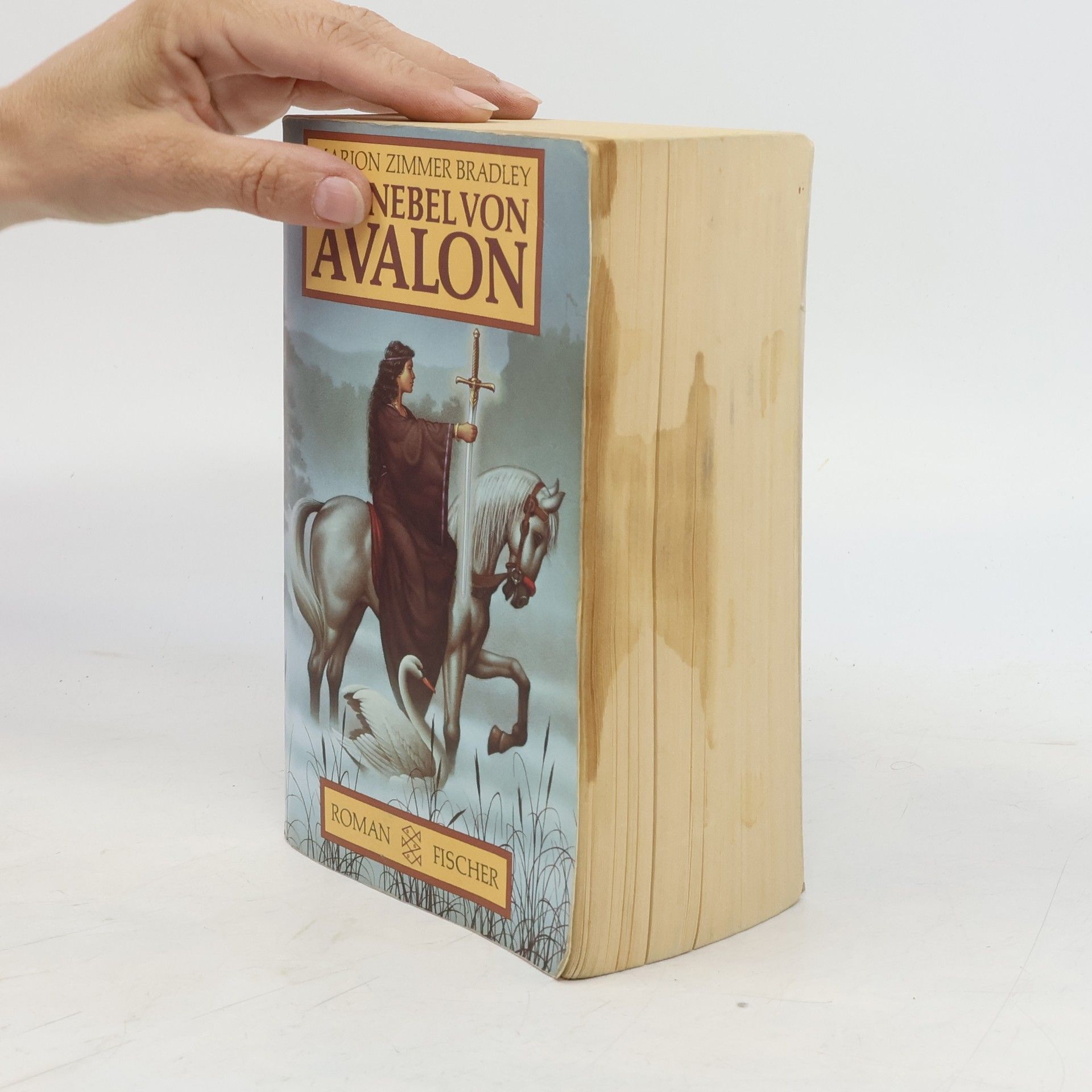 Marion Zimmer Bradley Die Nebel von Avalon