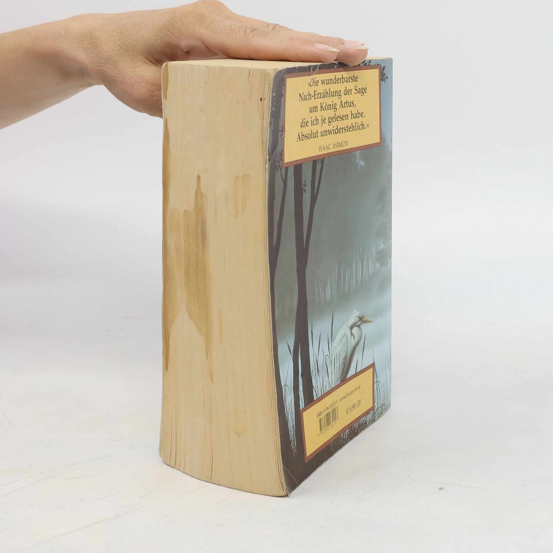 Marion Zimmer Bradley Die Nebel von Avalon