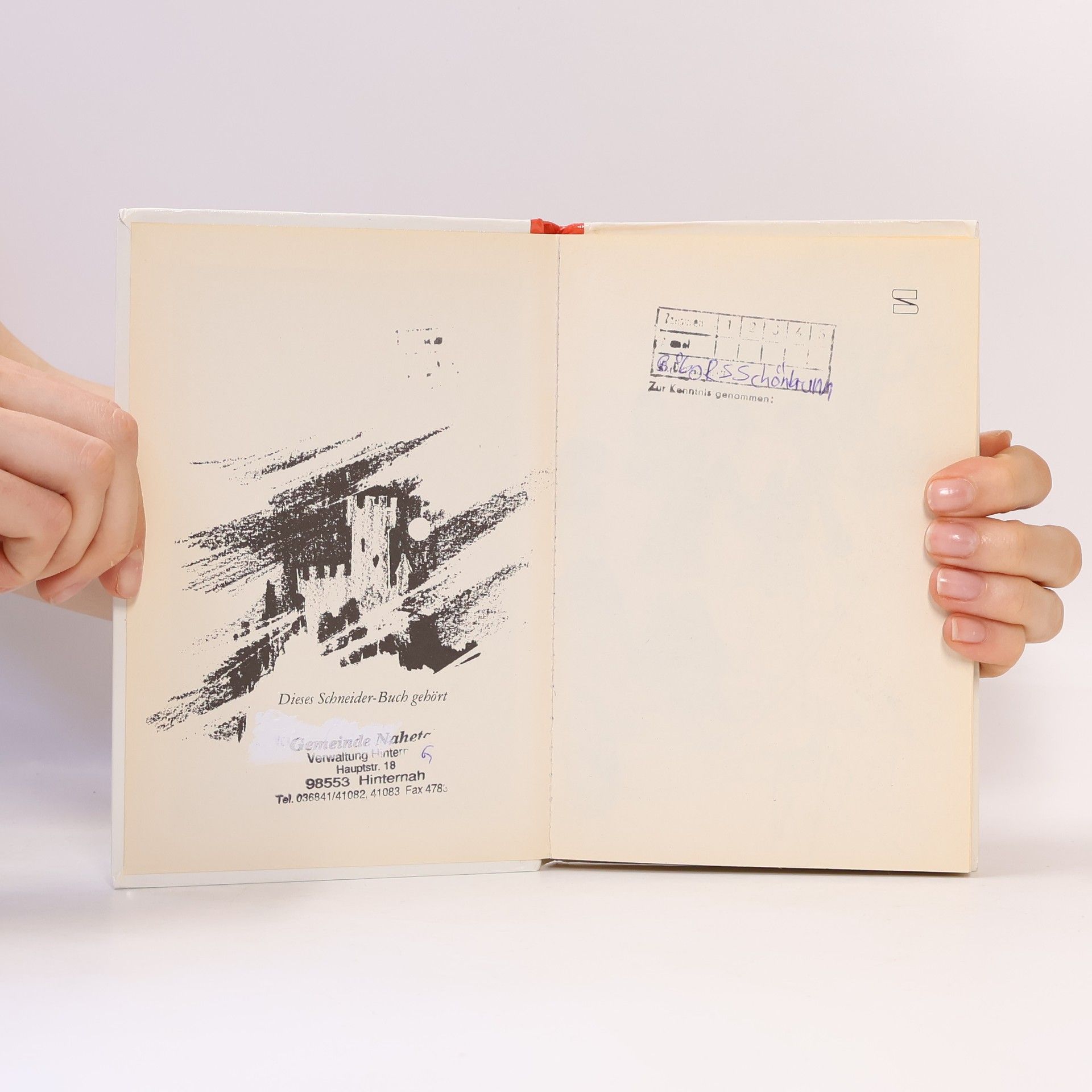 Enid Blyton Hanni und Nanni suchen Gespenster