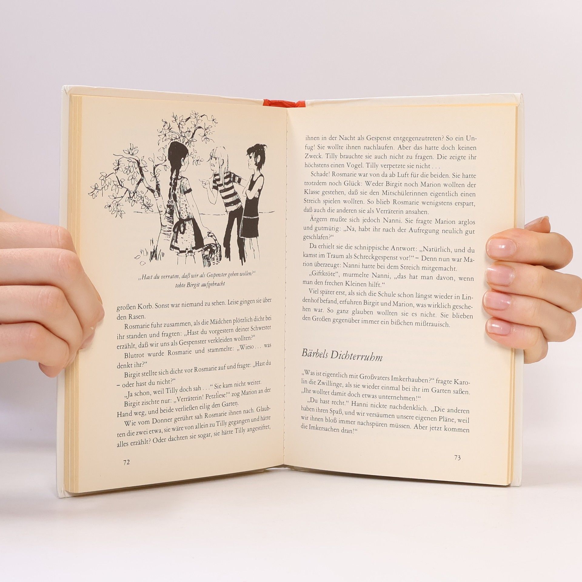 Enid Blyton Hanni und Nanni suchen Gespenster