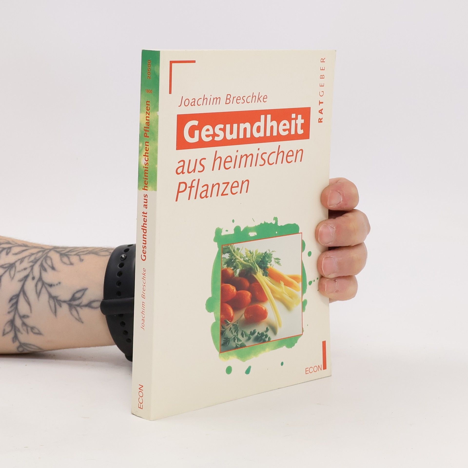 Gesundheit aus heimischen Pflanzen