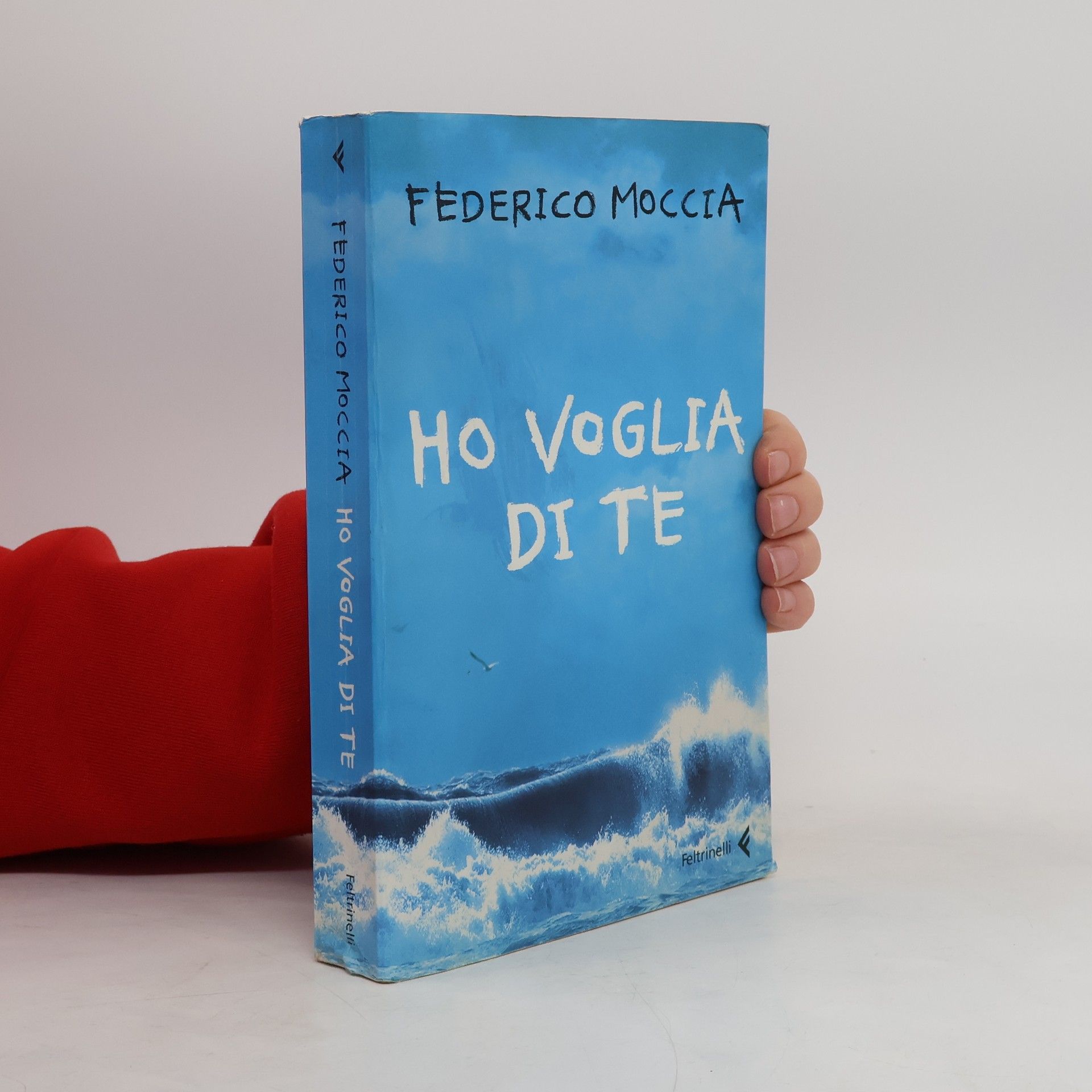 Federico Moccia Ho voglia di te