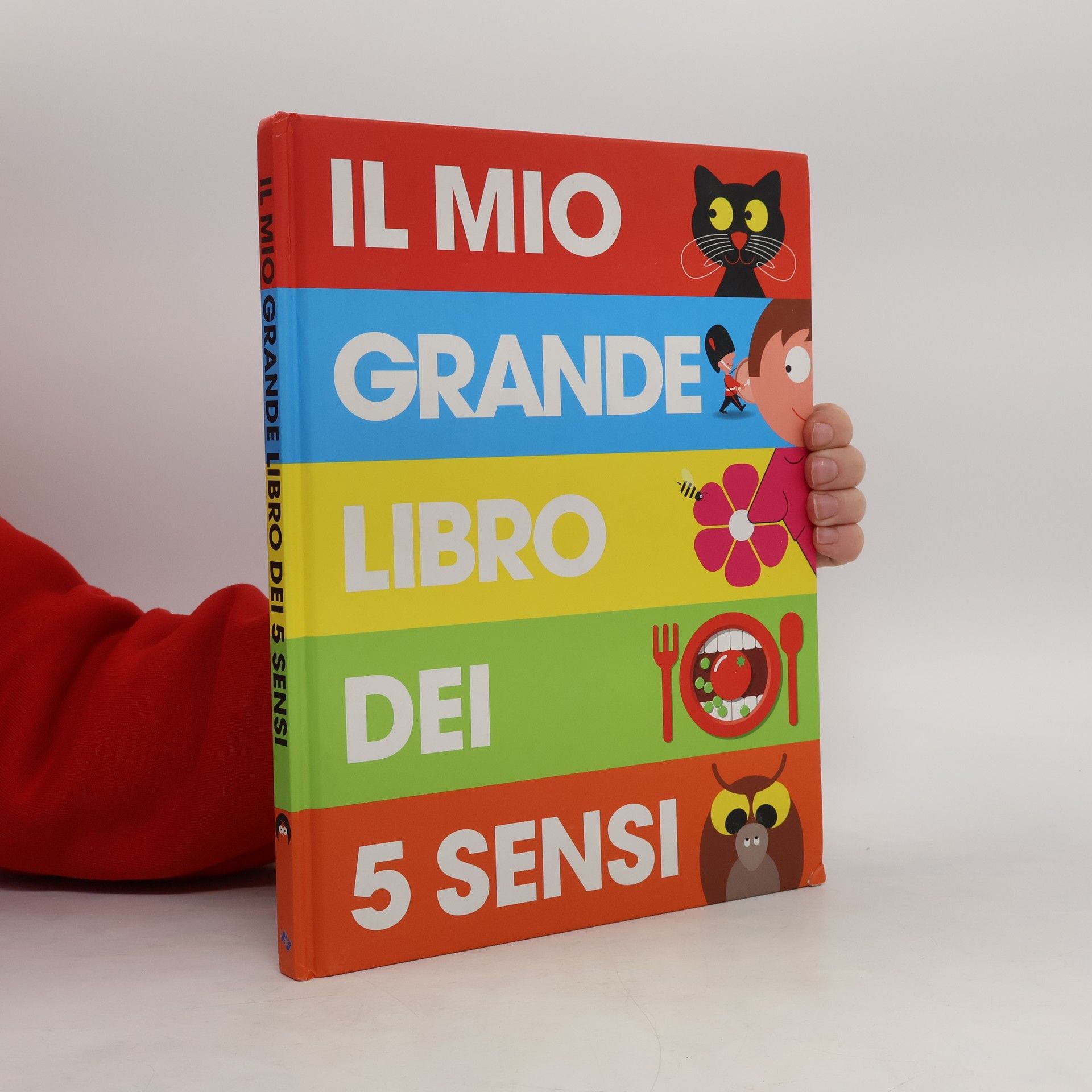 Il mio grande libro dei cinque sensi
