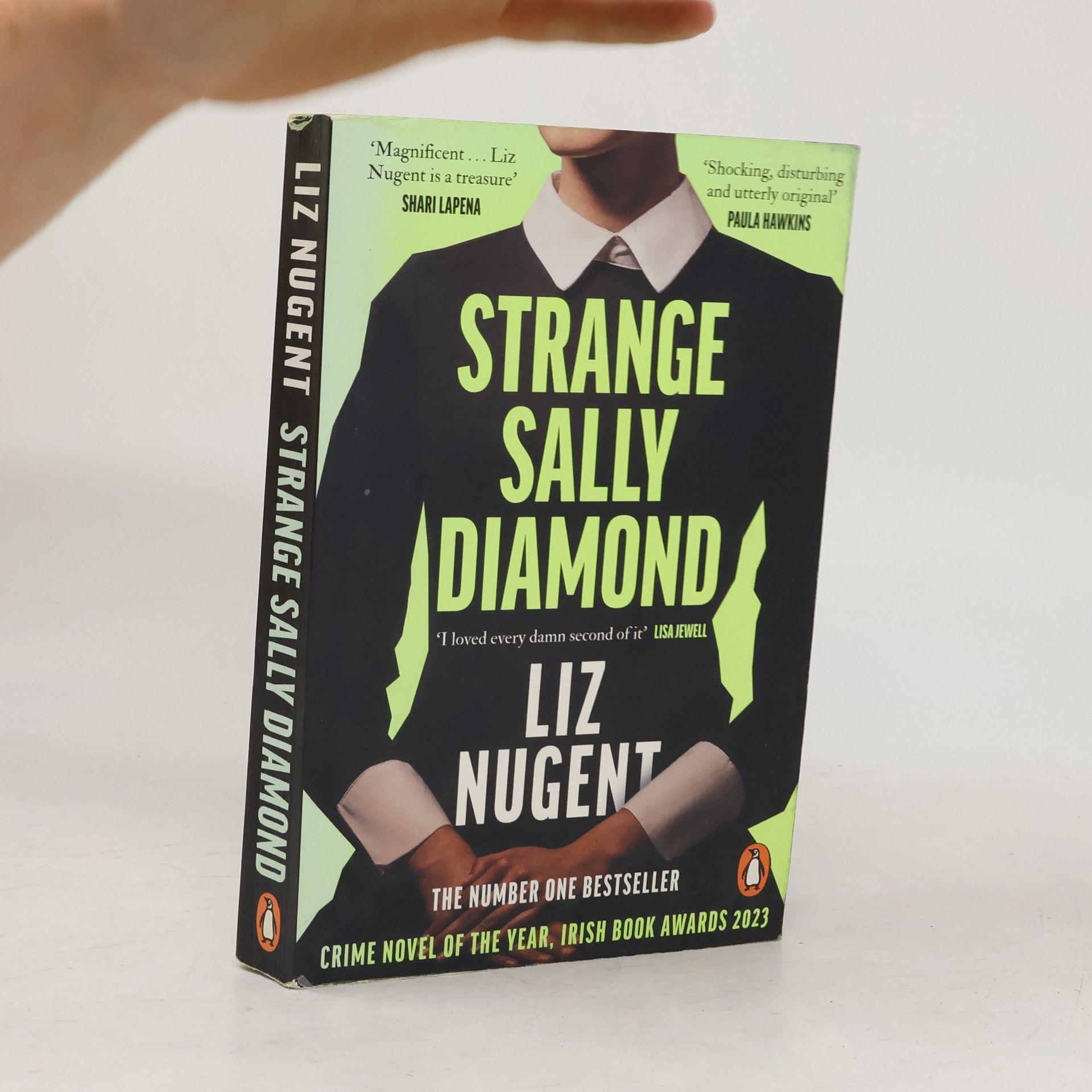 Liz Nugent Strange Sally Diamond