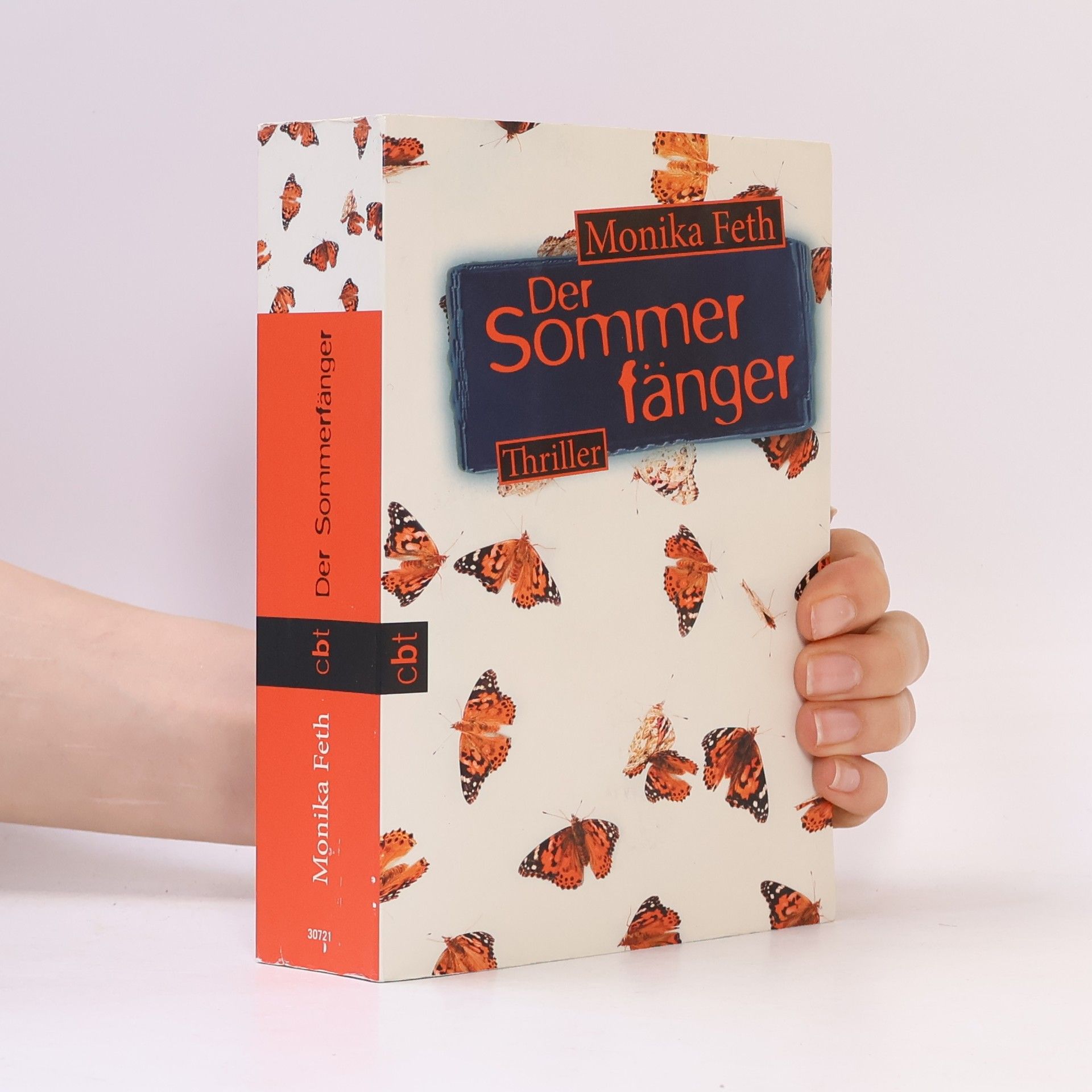 Monika Feth Der Sommerfänger