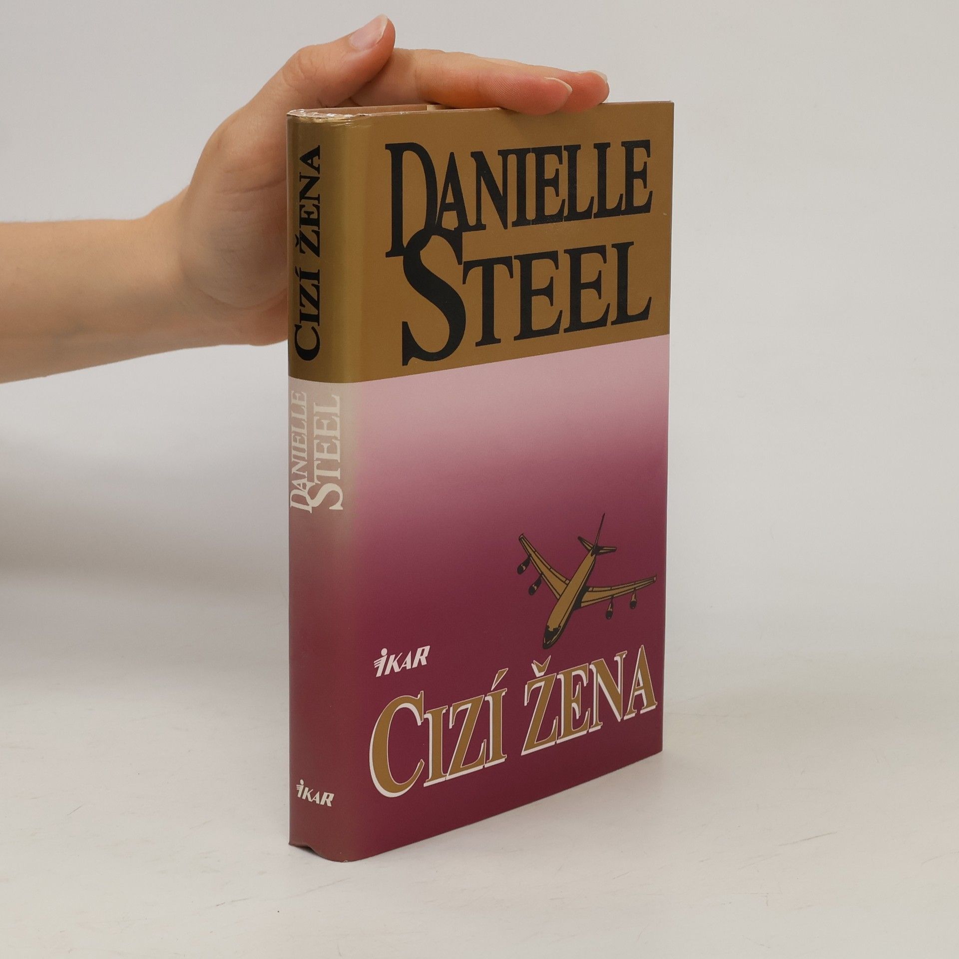 Danielle Steel Cizí žena