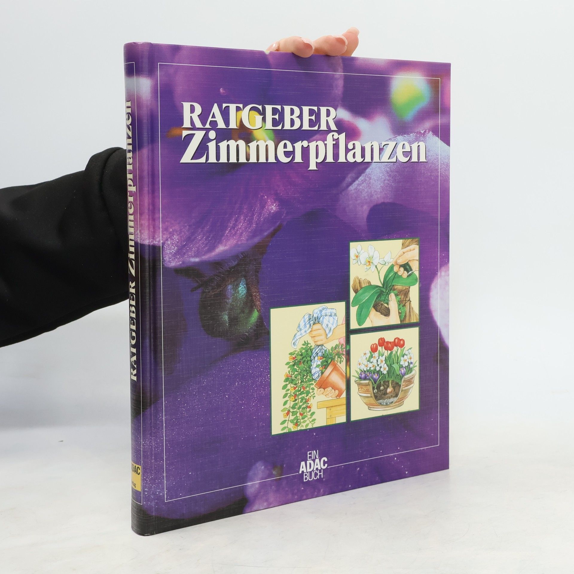 Collectif d'auteurs Großer farbiger. Zimmerpflanzen-Ratgeber