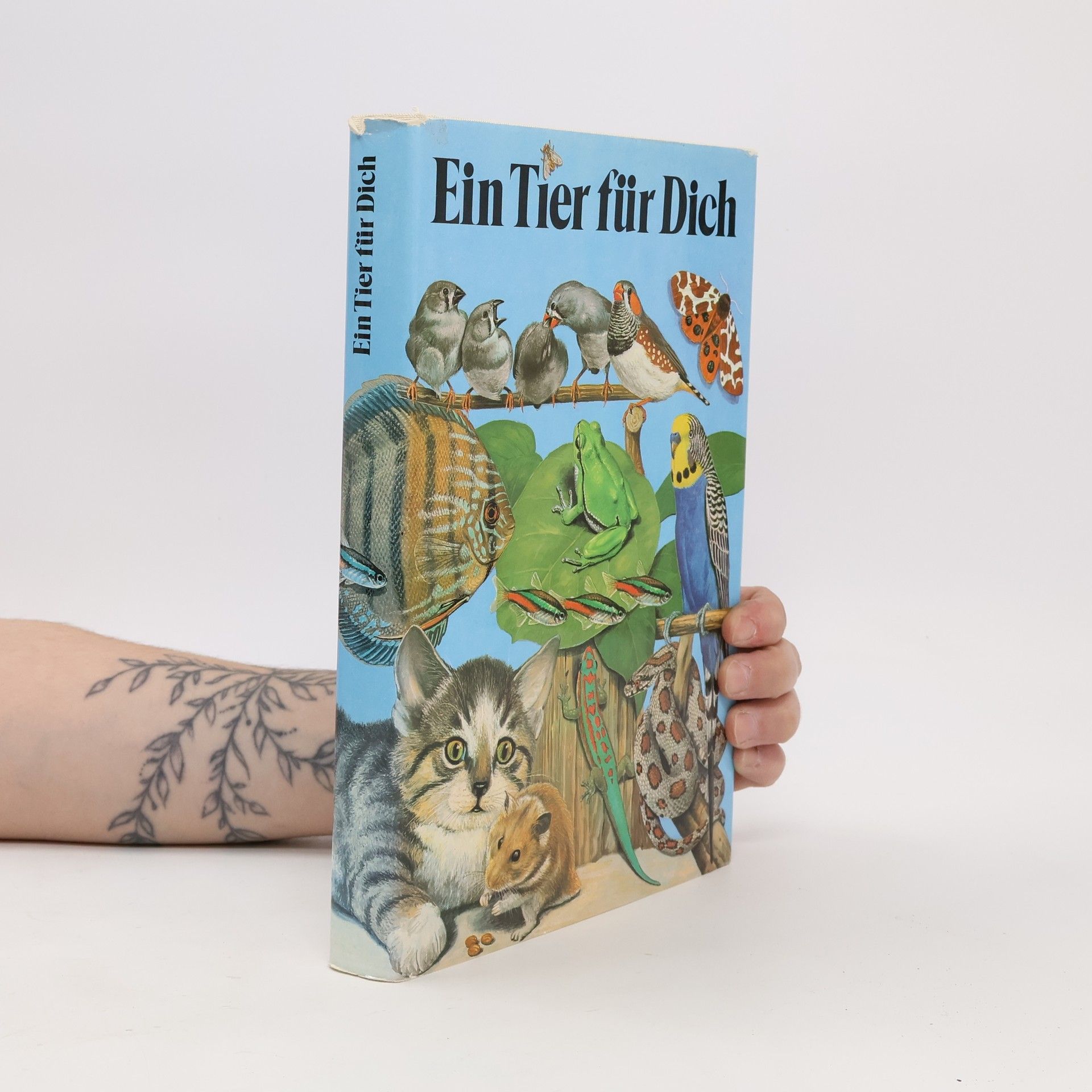 Collectif d'auteurs Ein Tier für dich